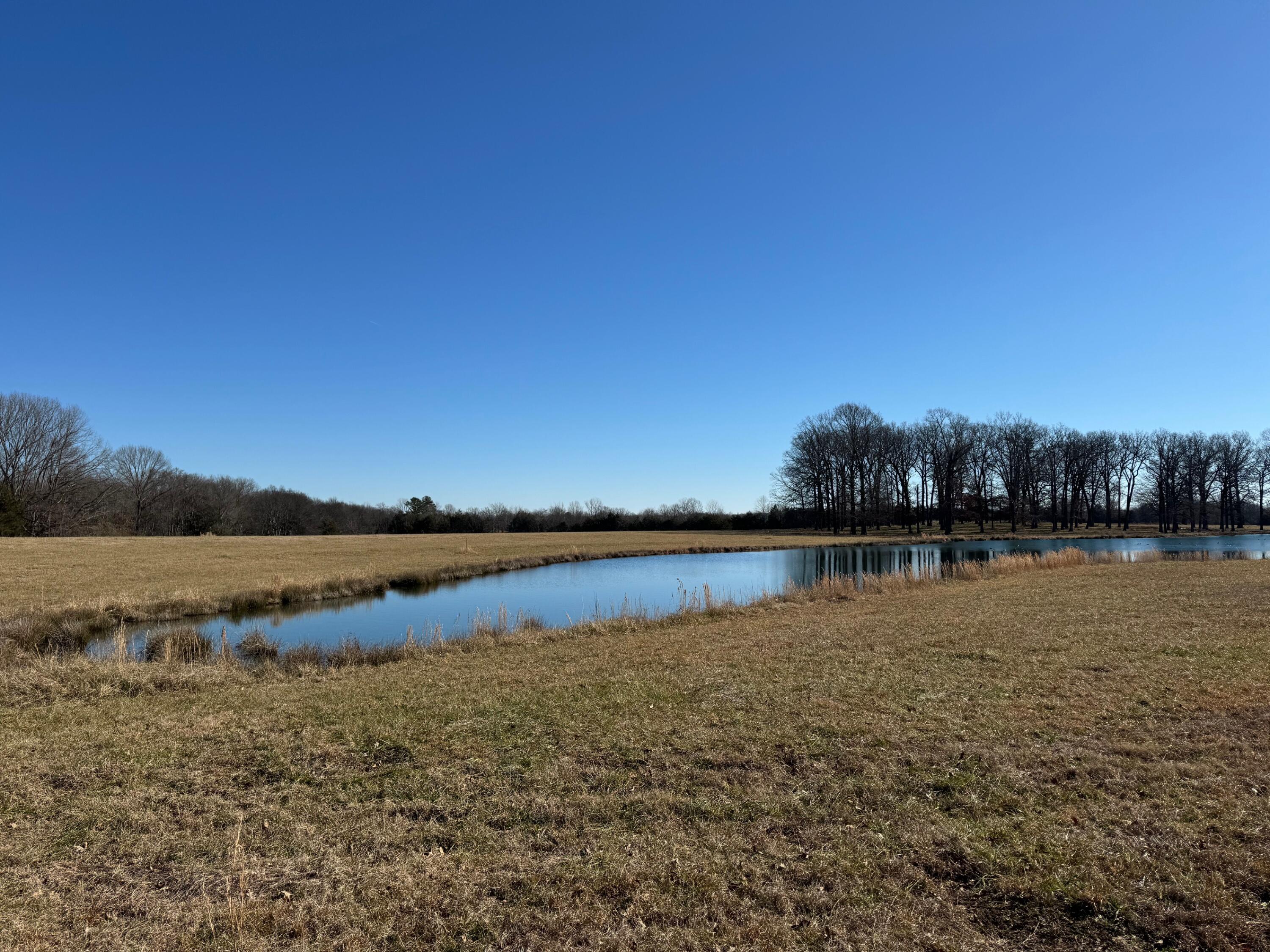 Lot6 Hunter's Ridge Guntown, MS 38849 - Photo 4 of 5 Gallery Image 4