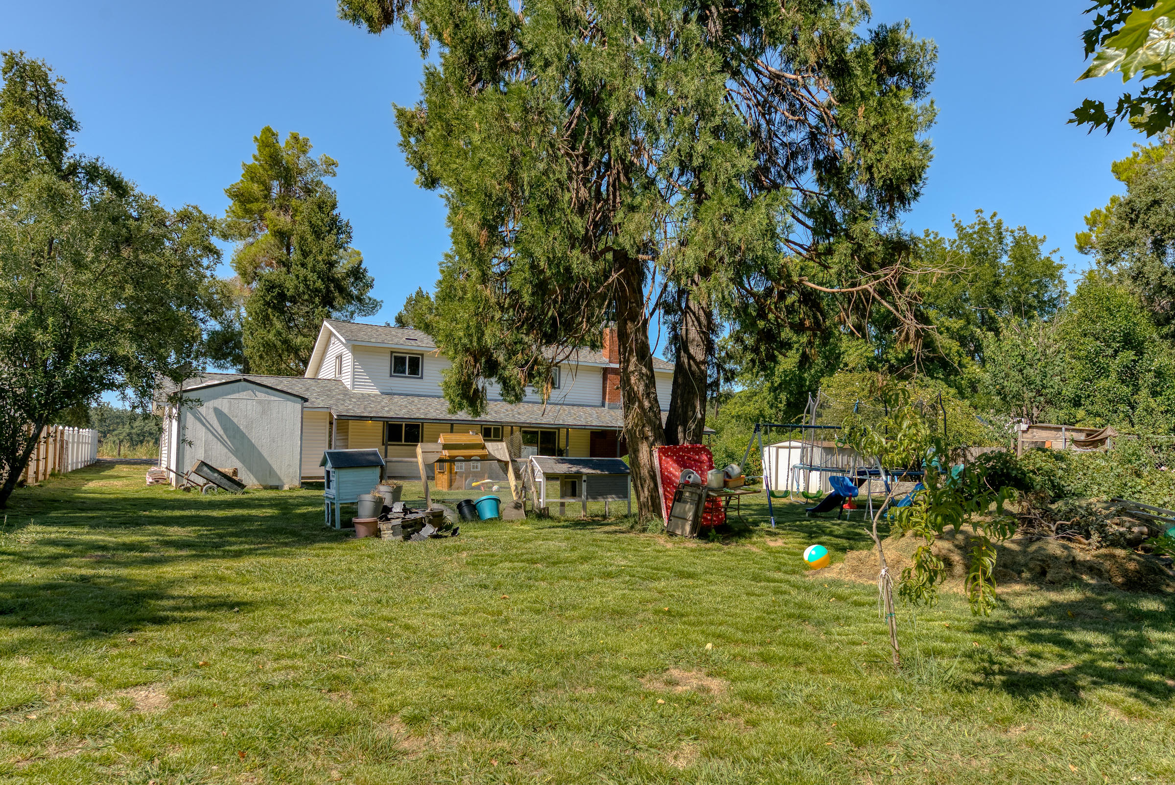 5481 Balls Ferry Road Anderson, CA 96007 - Photo 54 of 65 Huge Backyard Never Needs a Sprinkler