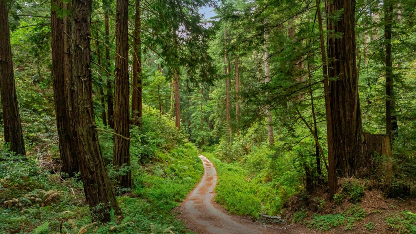 27 Willis Road Scotts Valley, CA 95066 - Photo 10 of 18