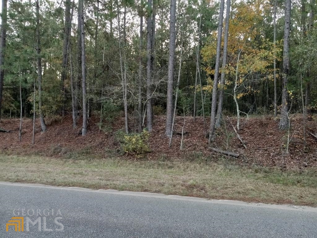 0 Fountain Road Rentz, GA 31075 - Photo 1 of 1 Gallery Image 1