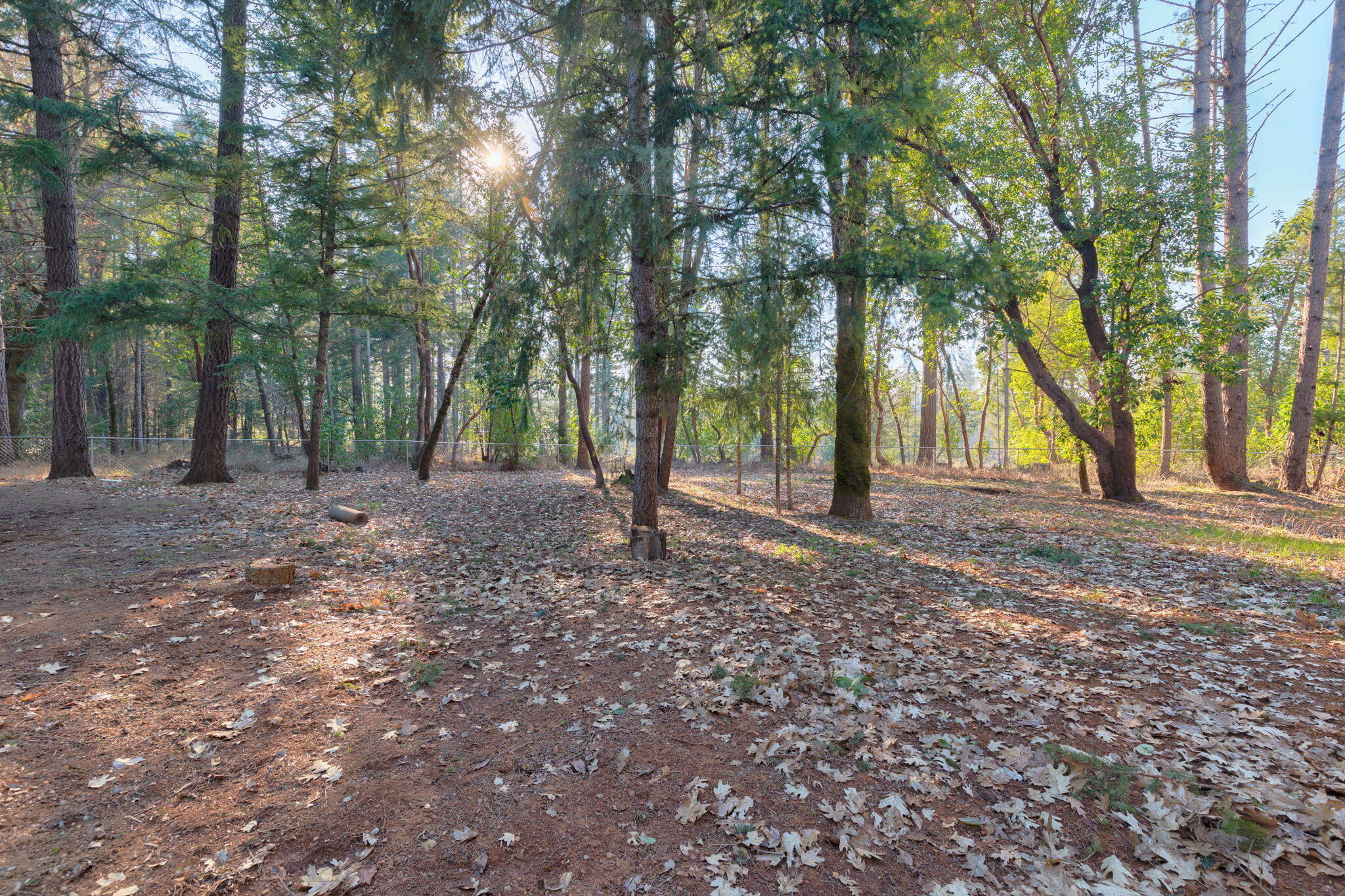 201 Kirkham Road Cave Junction, OR 97523 - Photo 53 of 55 10-web-or-mls-201-kirkham-rd