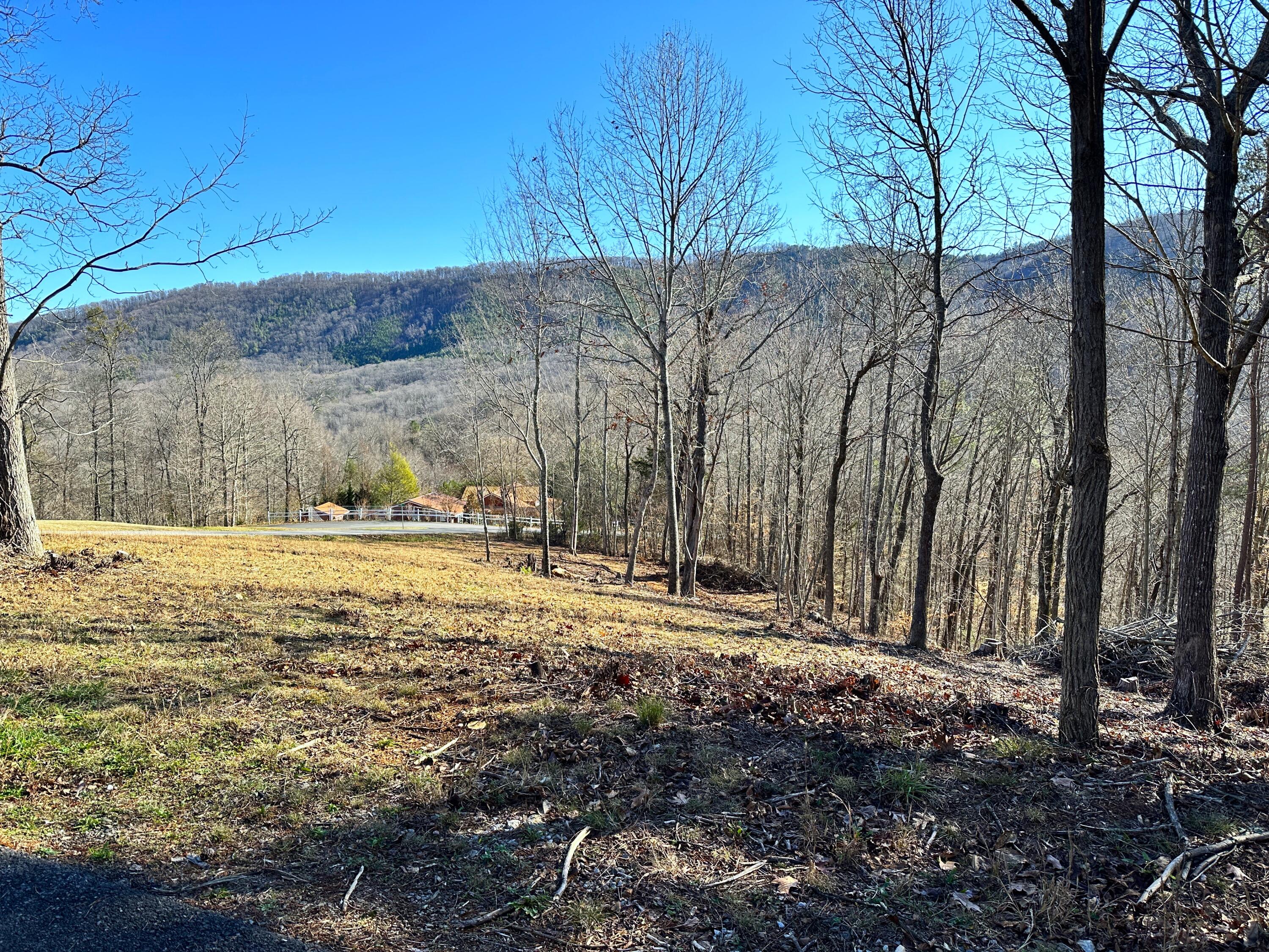 502 Stevia Road, Unit 4142 Cosby, TN 37722 - Photo 1 of 22 1