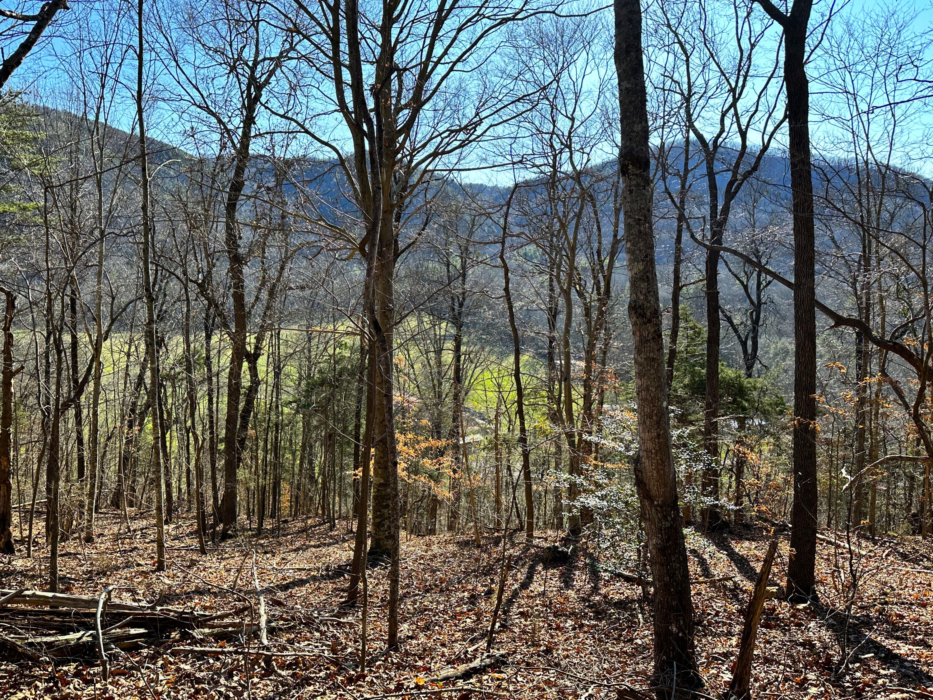 502 Stevia Road, Unit 4142 Cosby, TN 37722 - Photo 12 of 22 12