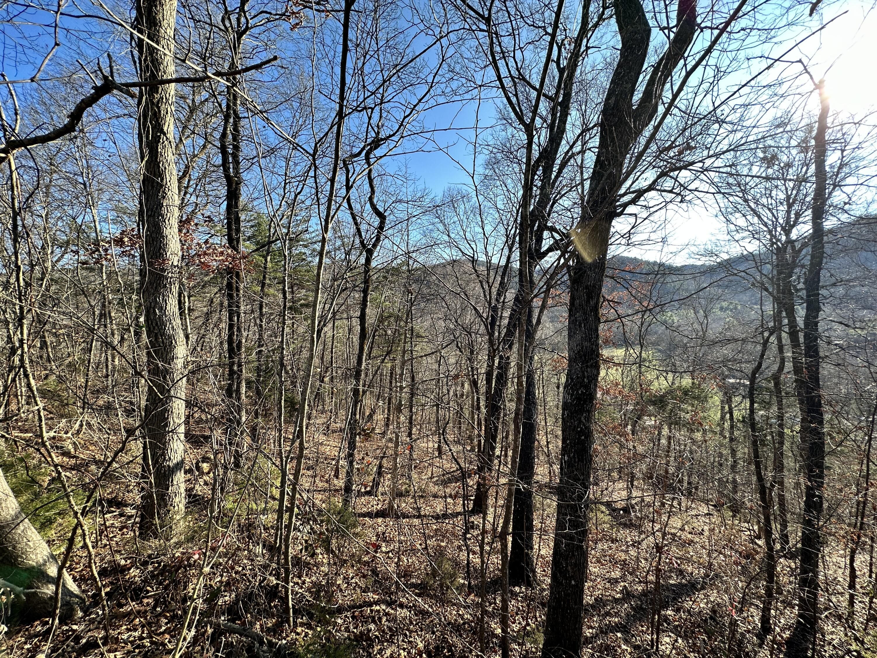 502 Stevia Road, Unit 4142 Cosby, TN 37722 - Photo 14 of 22 14