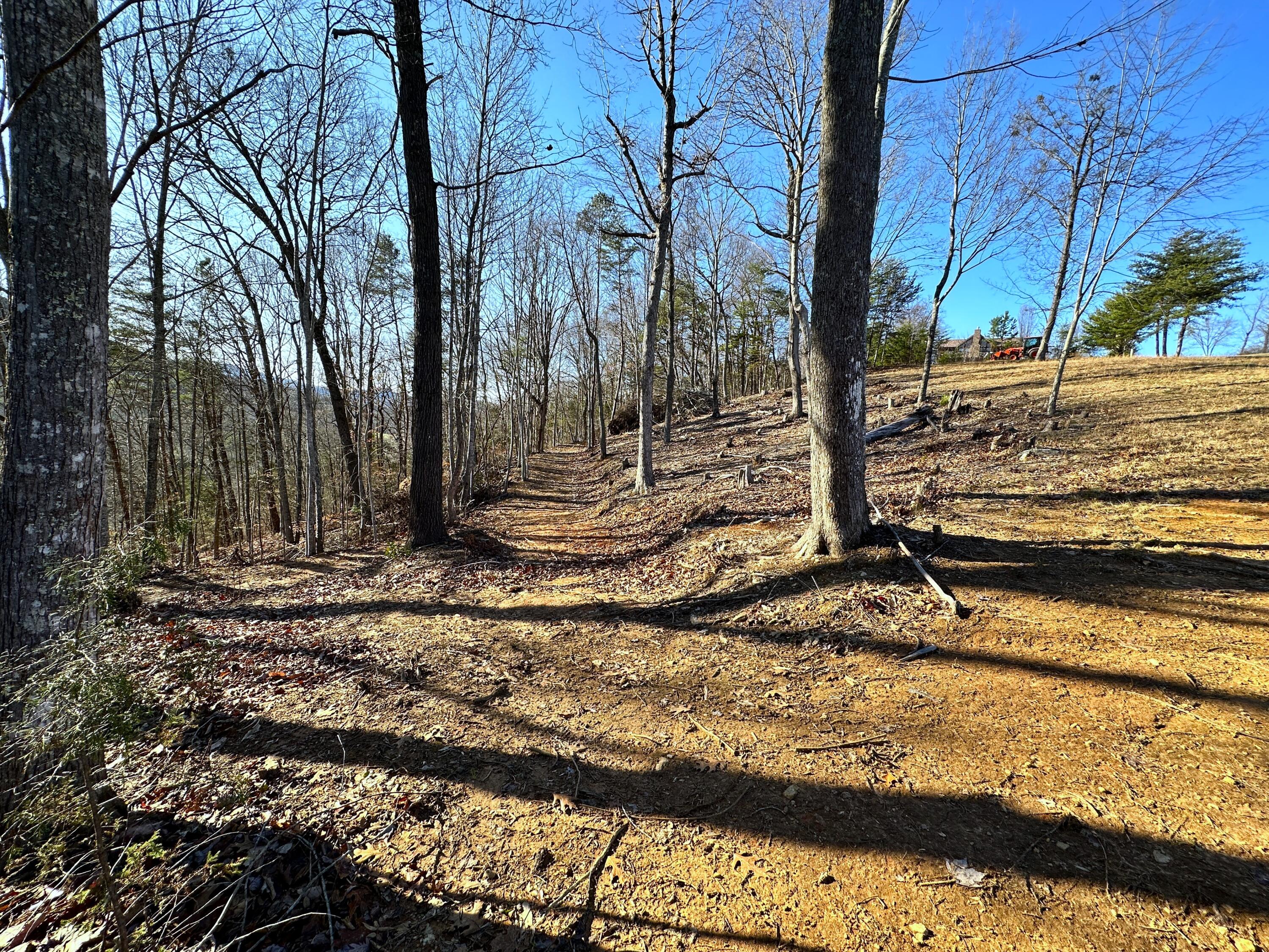 502 Stevia Road, Unit 4142 Cosby, TN 37722 - Photo 16 of 22 16
