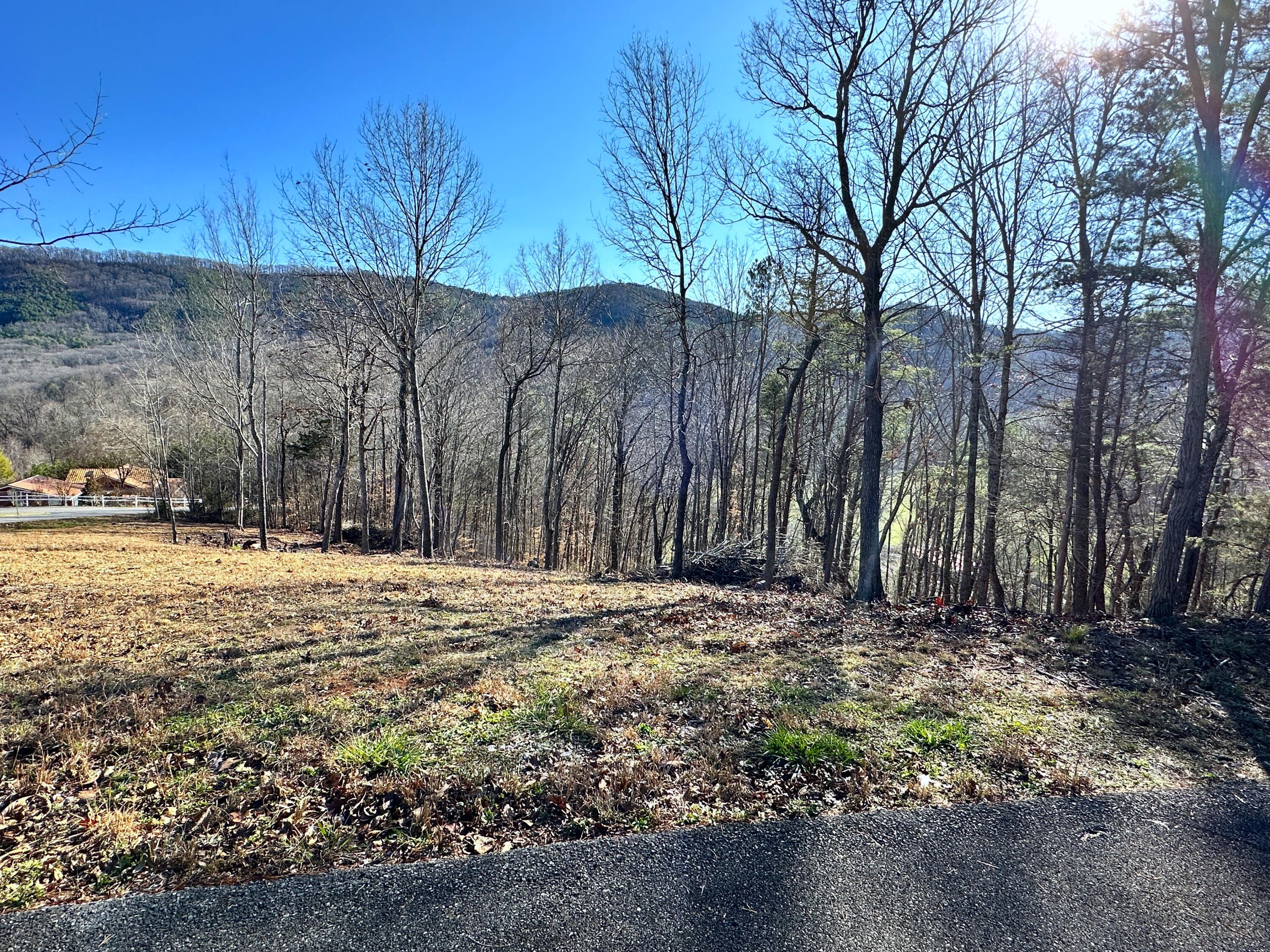 502 Stevia Road, Unit 4142 Cosby, TN 37722 - Photo 20 of 22 20