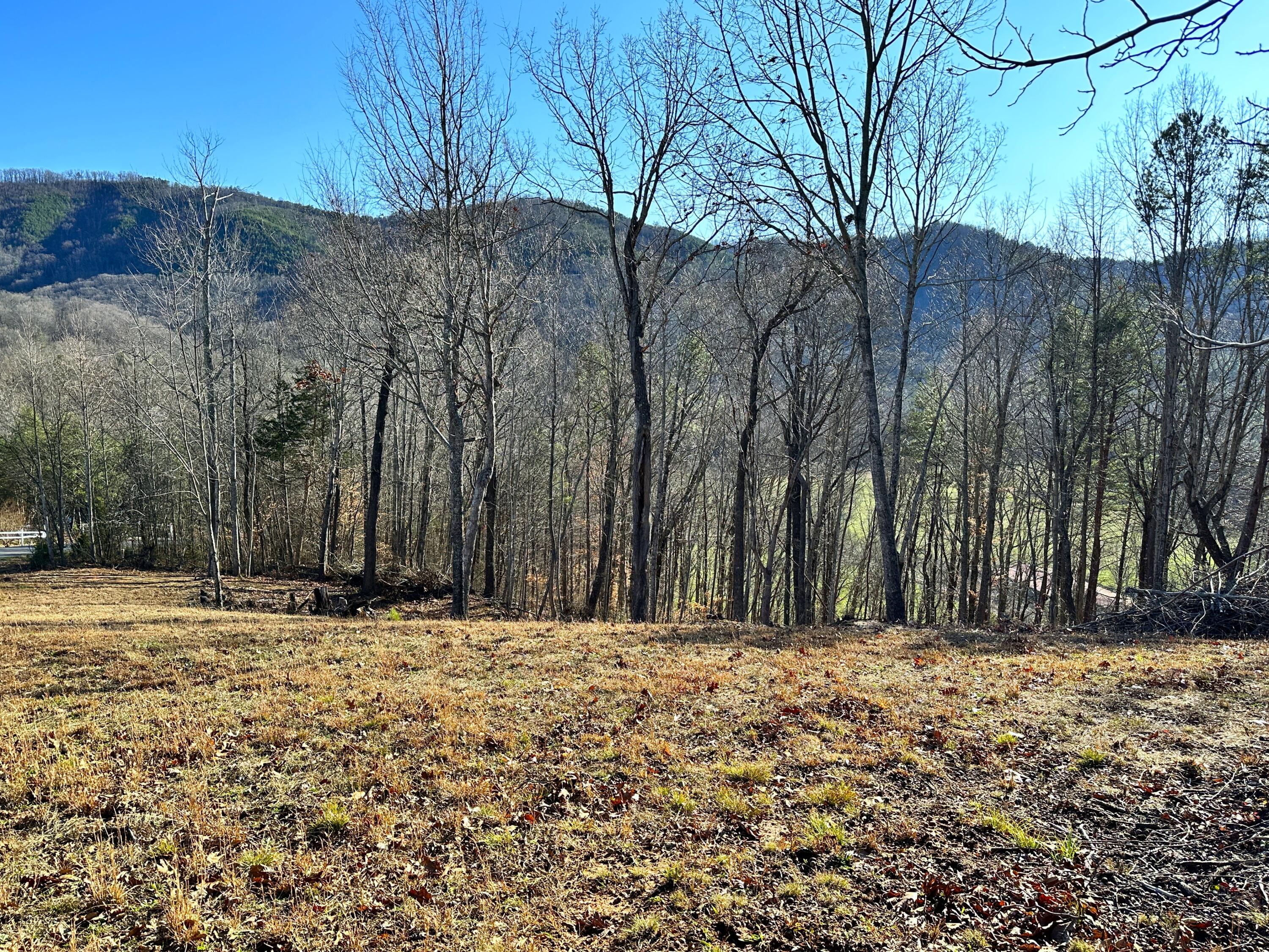 502 Stevia Road, Unit 4142 Cosby, TN 37722 - Photo 3 of 22 3