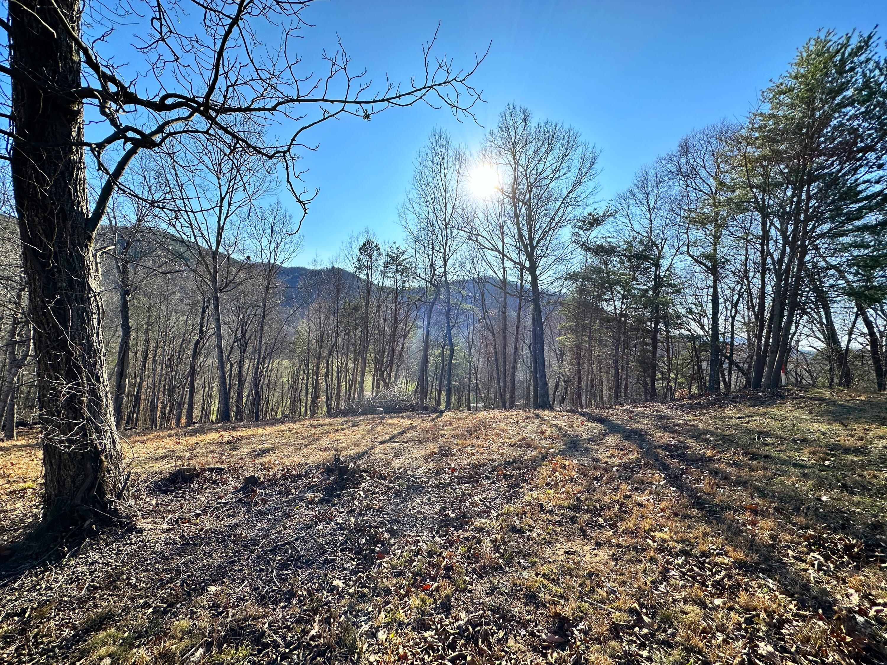 502 Stevia Road, Unit 4142 Cosby, TN 37722 - Photo 4 of 22 4