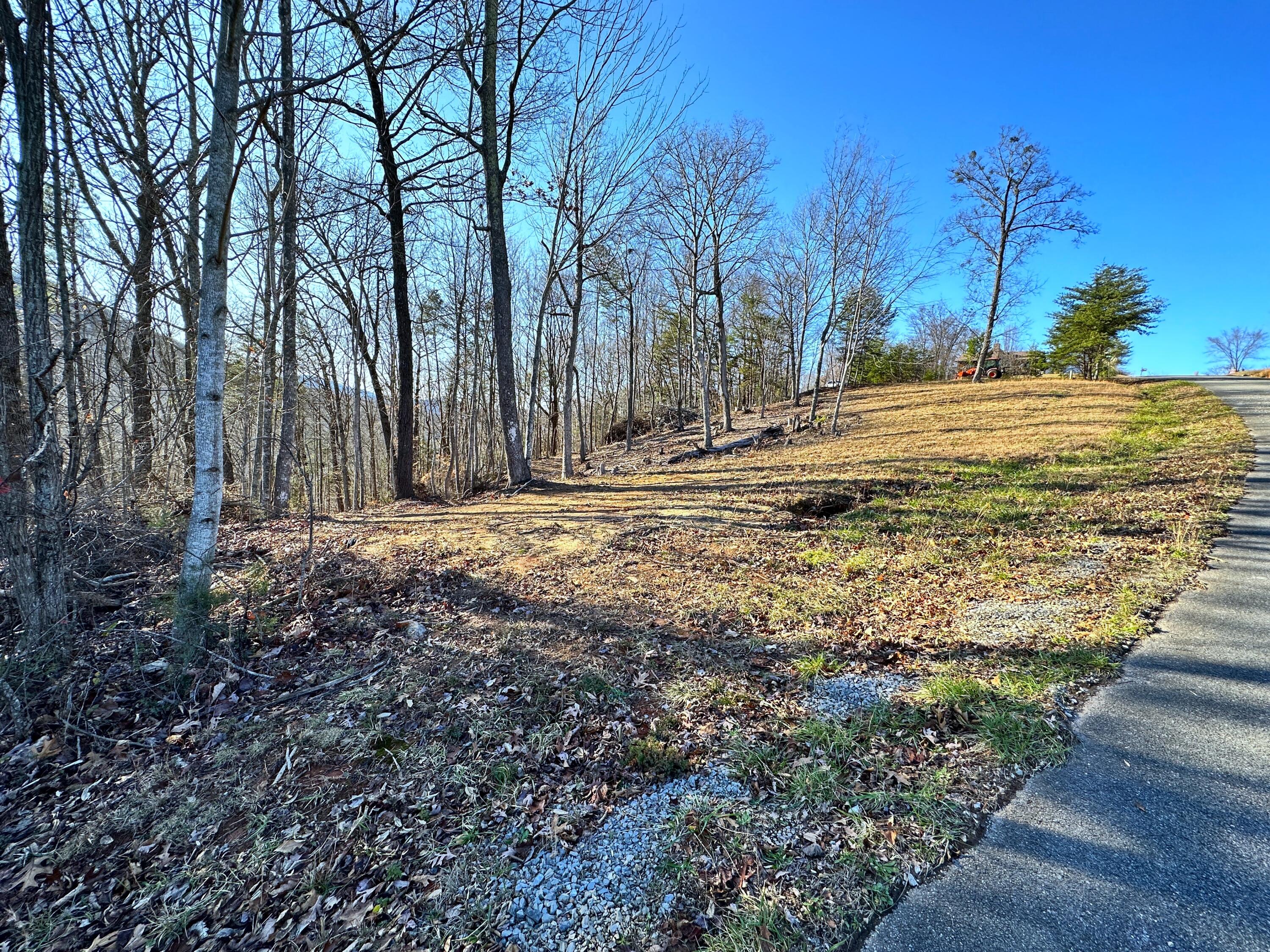 502 Stevia Road, Unit 4142 Cosby, TN 37722 - Photo 5 of 22 5
