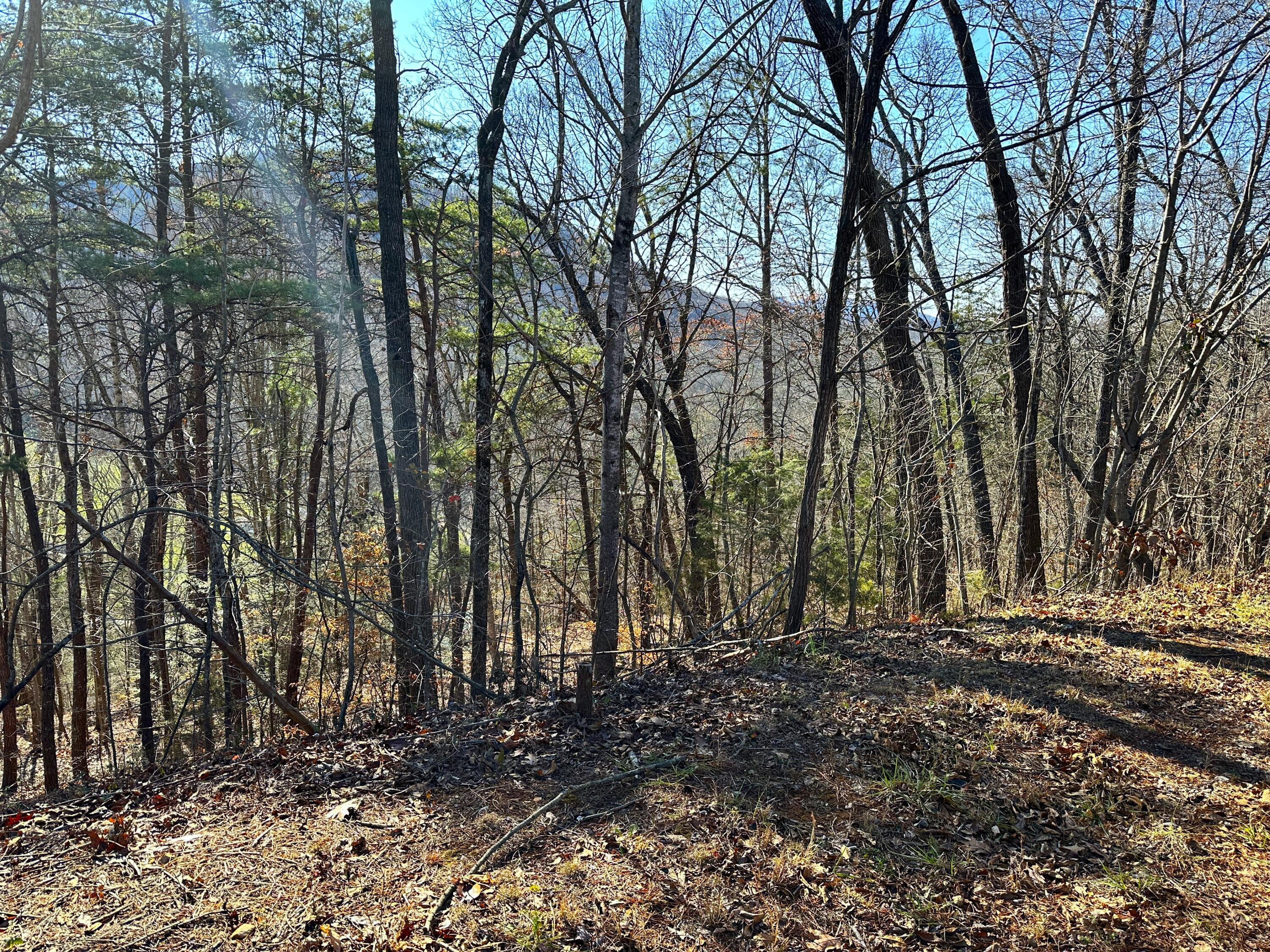 502 Stevia Road, Unit 4142 Cosby, TN 37722 - Photo 8 of 22 8