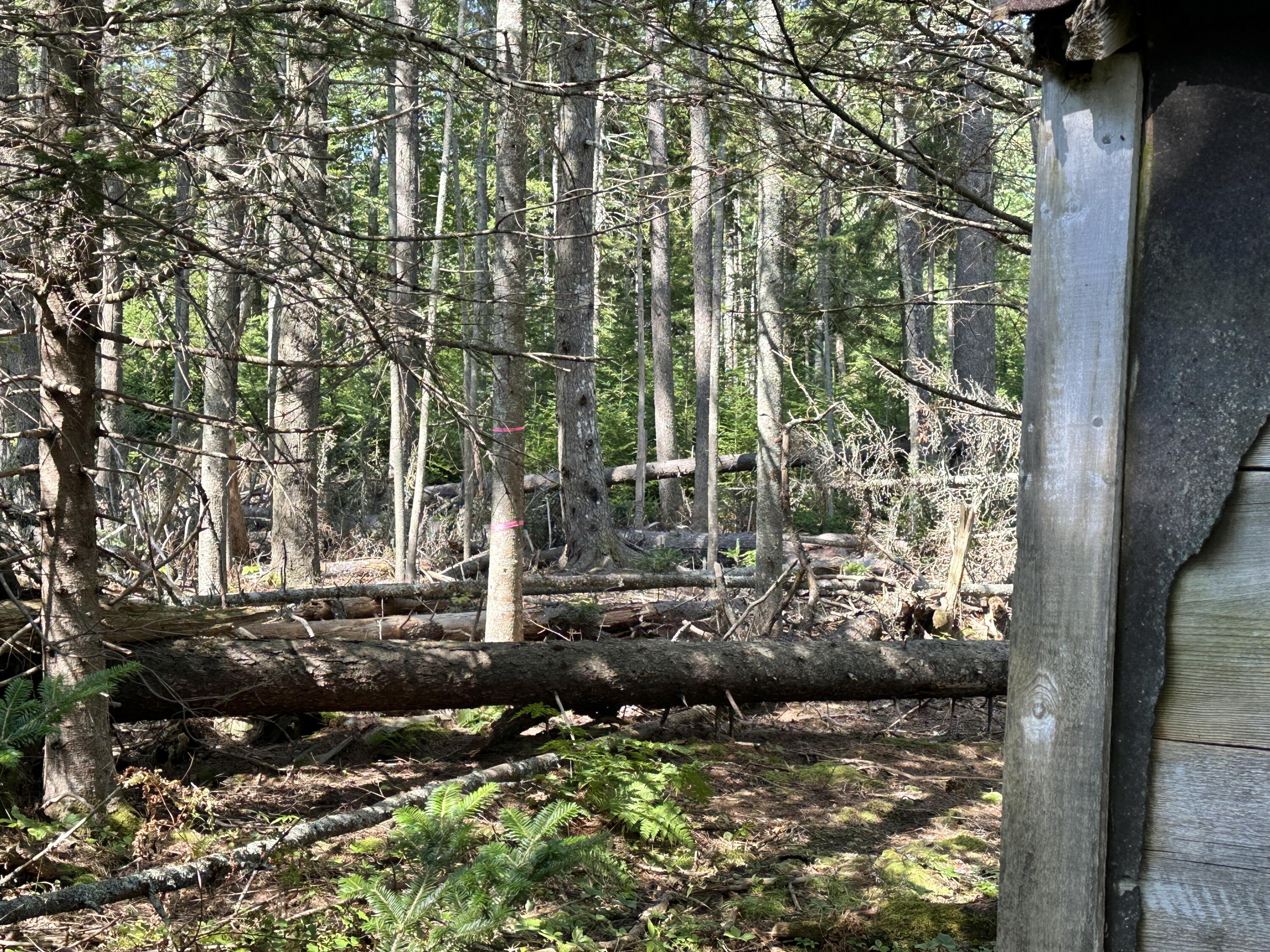 31 Fay Road Spruce Head, ME 04859 - Photo 26 of 77 IMG_1057