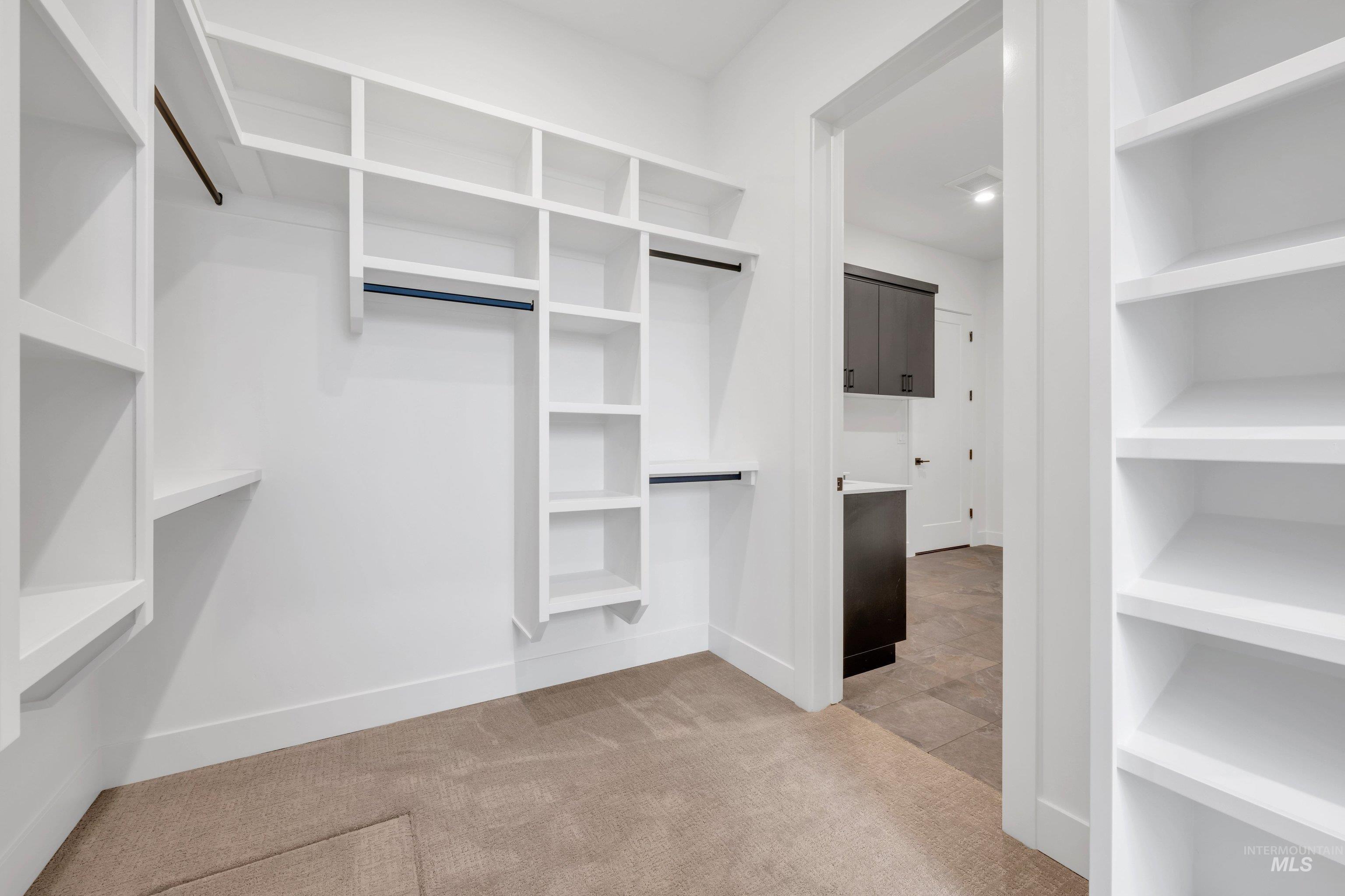 24871 Ardmore Court Caldwell, ID 83607 - Photo 43 of 44 Walk in closet featuring light carpet