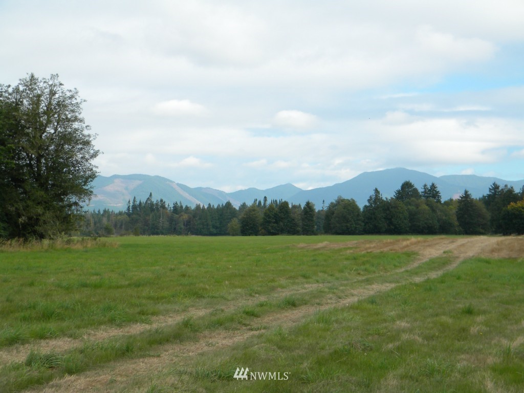 1926 Matlock-Brady Road Elma, WA 98541 - Photo 2 of 15 Gallery Image 2