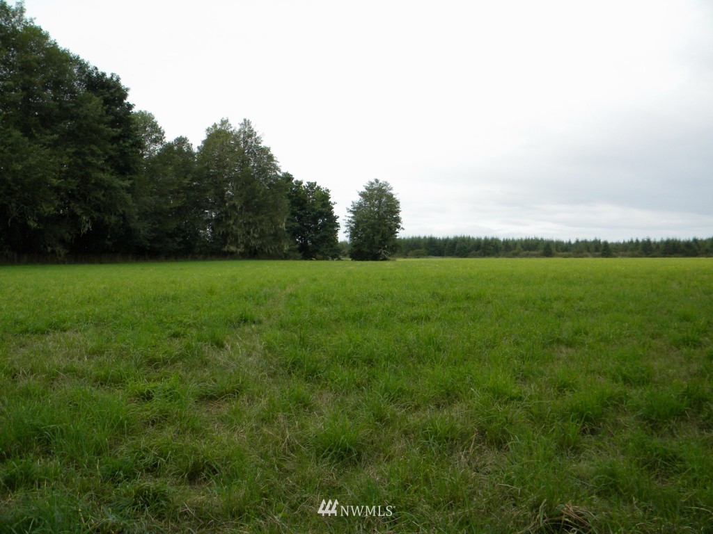 1926 Matlock-Brady Road Elma, WA 98541 - Photo 11 of 15 Gallery Image 11