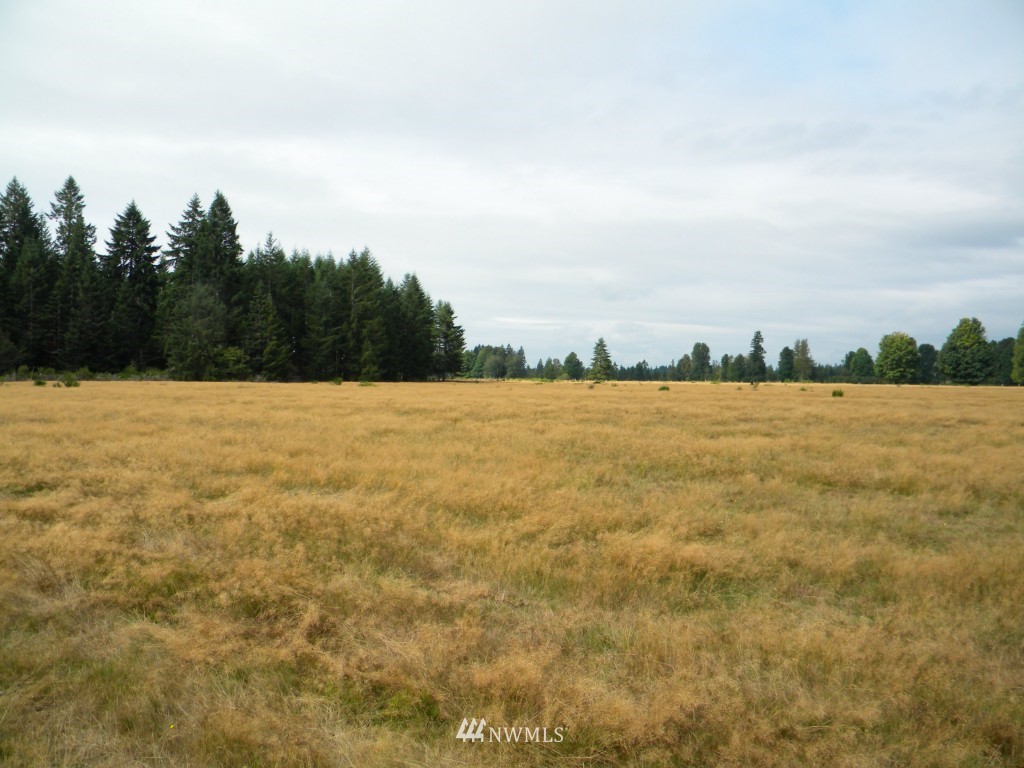 1926 Matlock-Brady Road Elma, WA 98541 - Photo 12 of 15 Gallery Image 12