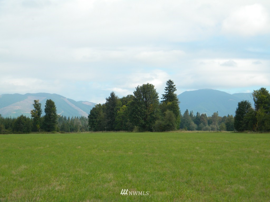 1926 Matlock-Brady Road Elma, WA 98541 - Photo 13 of 15 Gallery Image 13