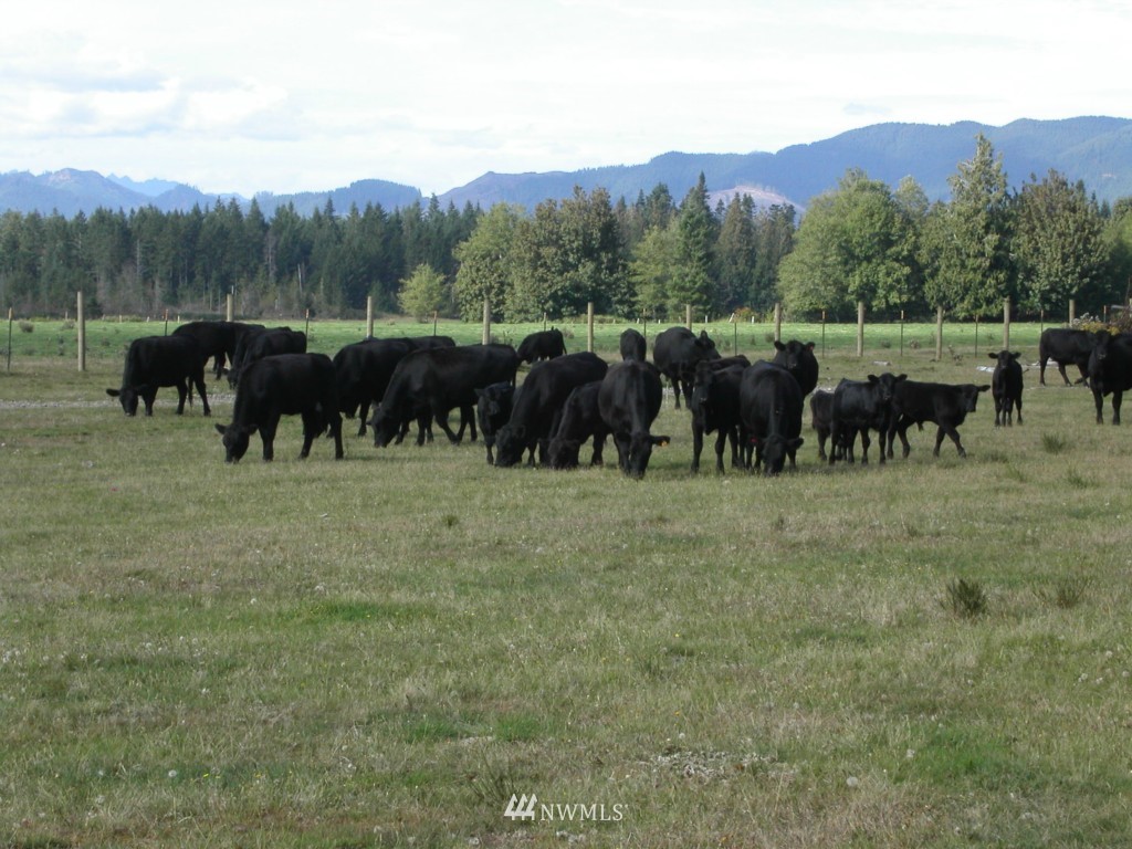 1926 Matlock-Brady Road Elma, WA 98541 - Photo 15 of 15 Gallery Image 15
