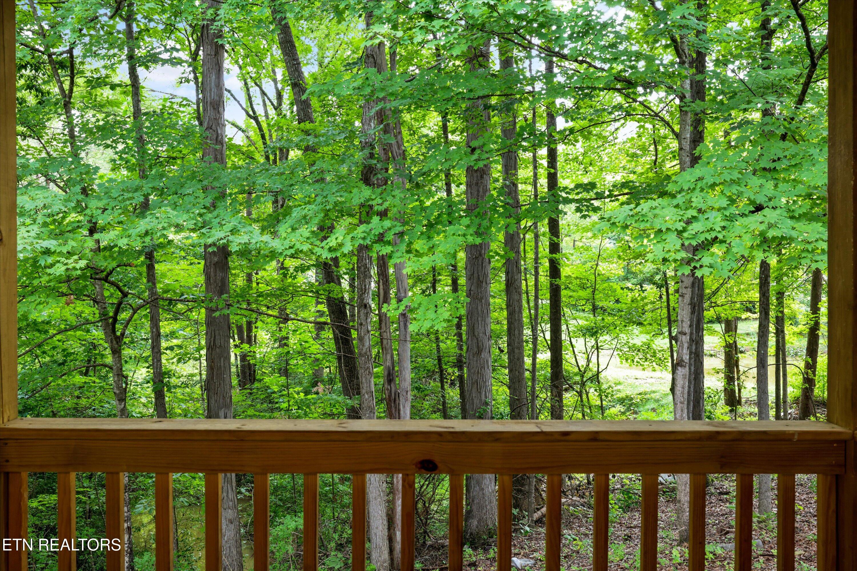 4117 Rocky Branch Road Walland, TN 37886 - Photo 32 of 43 32-4117 Rocky Branch Rd23