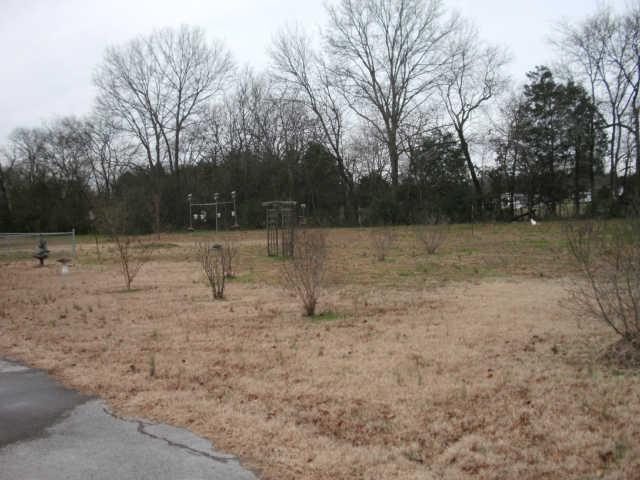 1791 Old Rome Pike Lebanon, TN 37087 - Photo 12 of 15 Back yard of home is lined with mature trees and backs up to open land.