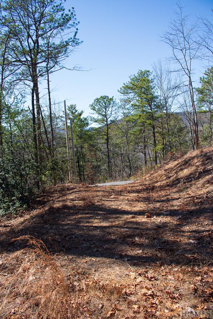 Lot Oak Oak Laurel Road Brevard, NC 28712 - Photo 11 of 13 Gallery Image 11