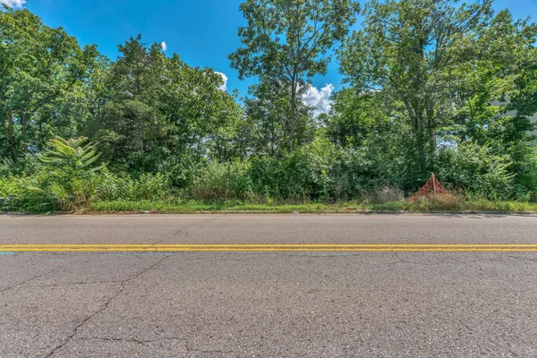 a view of a road with a trees in the background