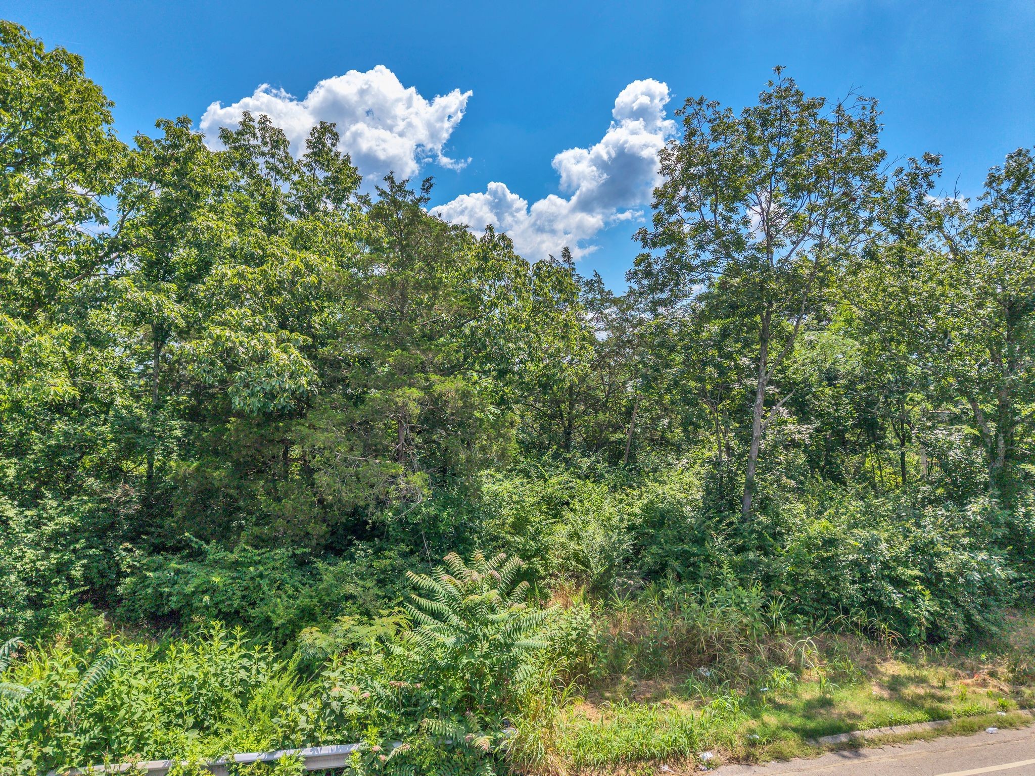 392 Rio Vista Drive Madison, TN 37115 - Photo 9 of 22 a view of a bunch of flowers in bunch