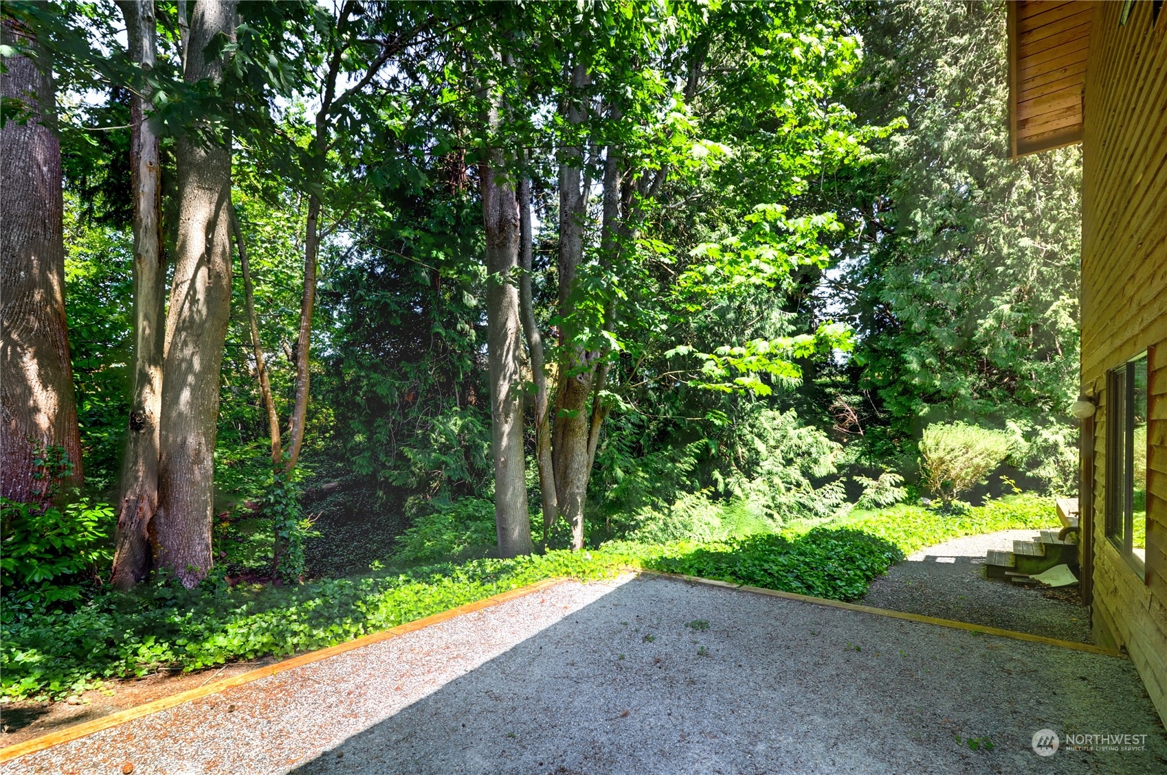 717 Daley Street Edmonds, WA 98020 - Photo 39 of 40 a view of a yard with plants and large trees