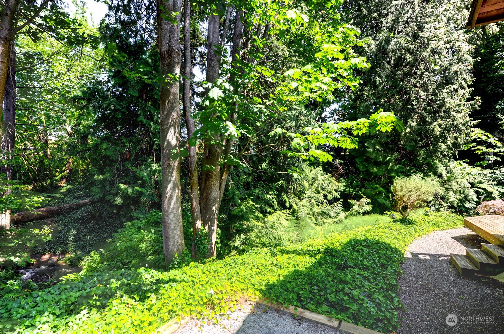 717 Daley Street Edmonds, WA 98020 - Photo 40 of 40 a backyard of a house with lots of green space