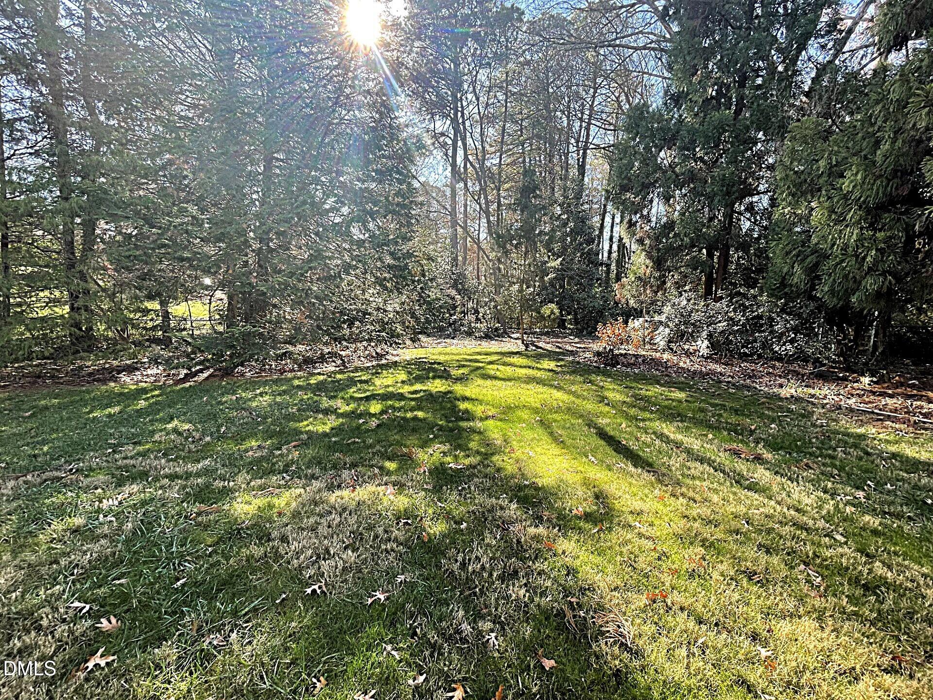 3401 Malibu Drive Raleigh, NC 27607 - Photo 2 of 8 3401 Malibu Back yard