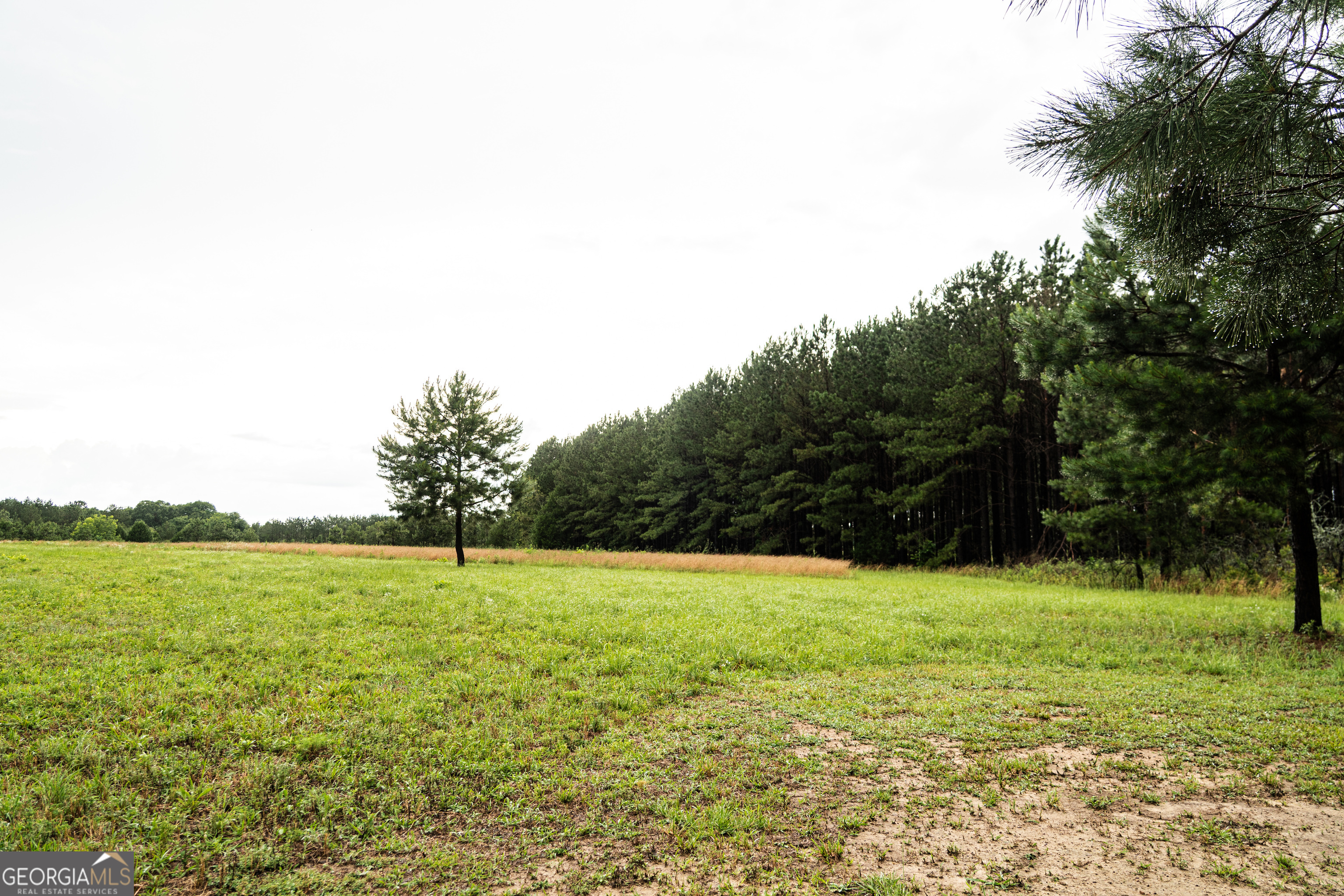 990 Highway 49 Americus, GA 31719 - Photo 31 of 121