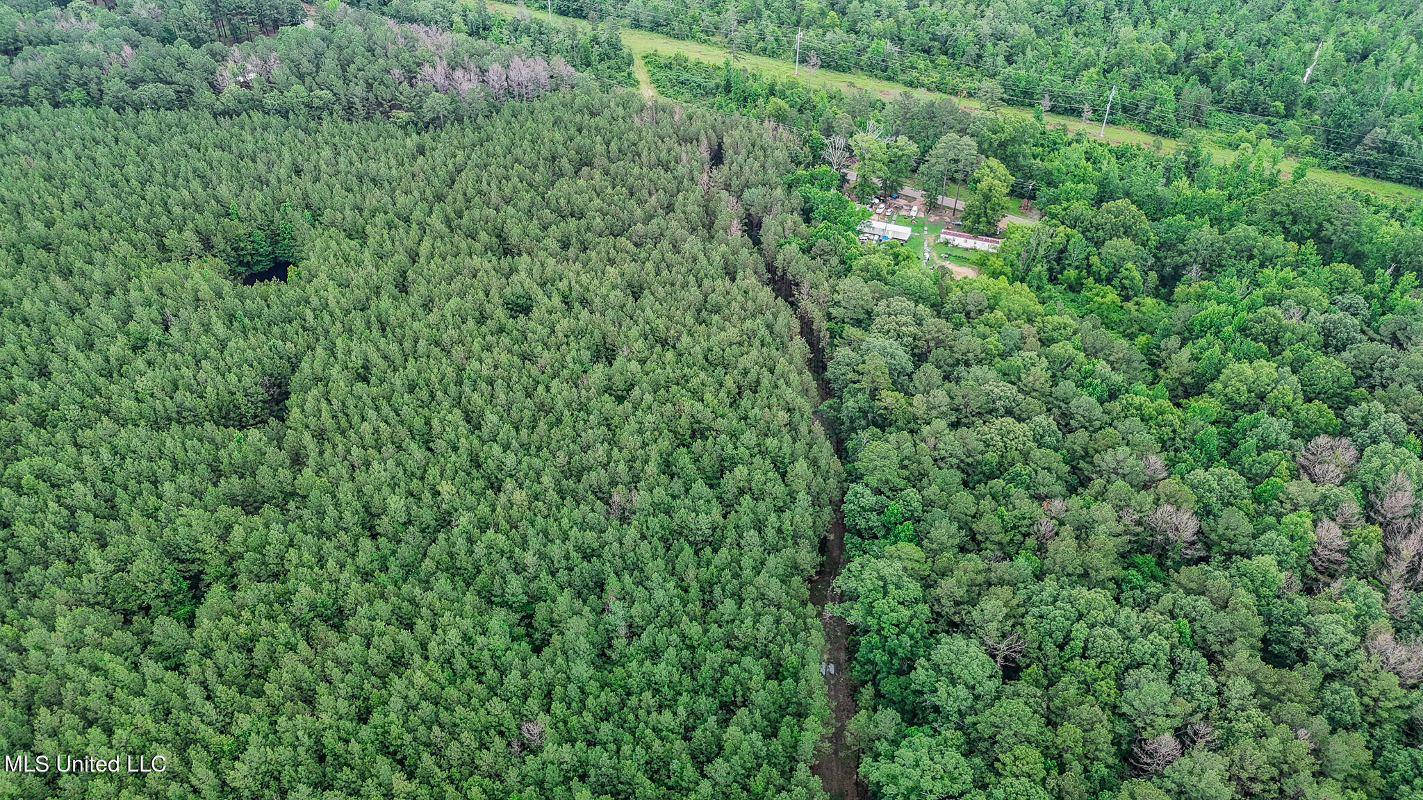 0 Sand Hill Road Brandon, MS 39047 - Photo 18 of 19 Sand Hill 13