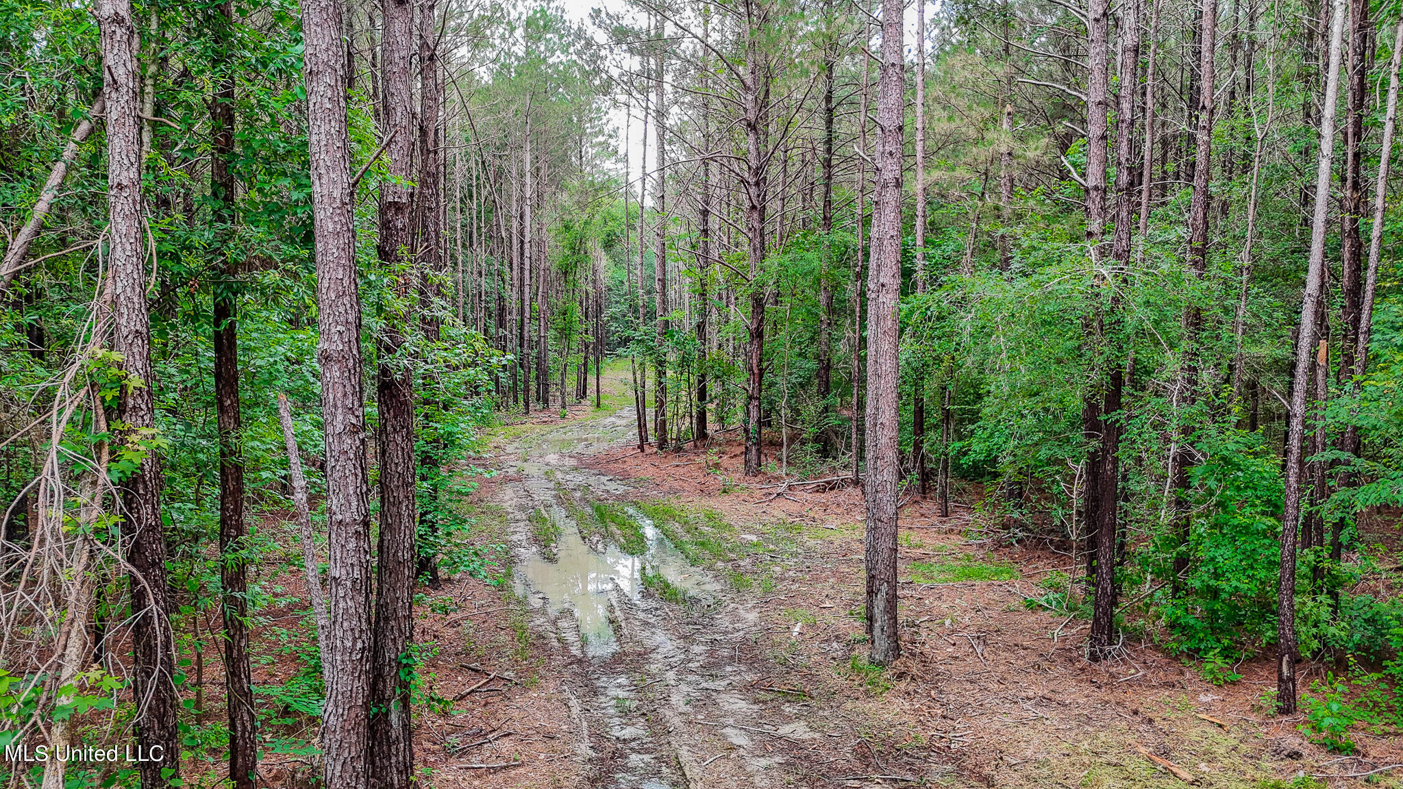 0 Sand Hill Road Brandon, MS 39047 - Photo 3 of 19 Sand Hill 16