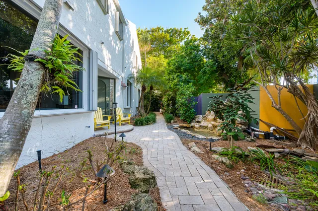 a view of a yard with plants
