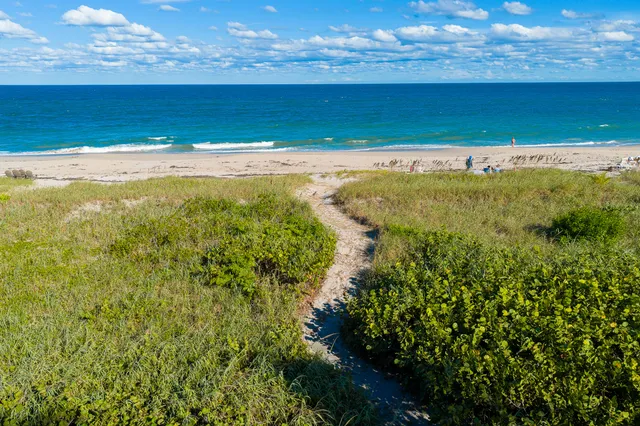 a view of a city with an ocean view