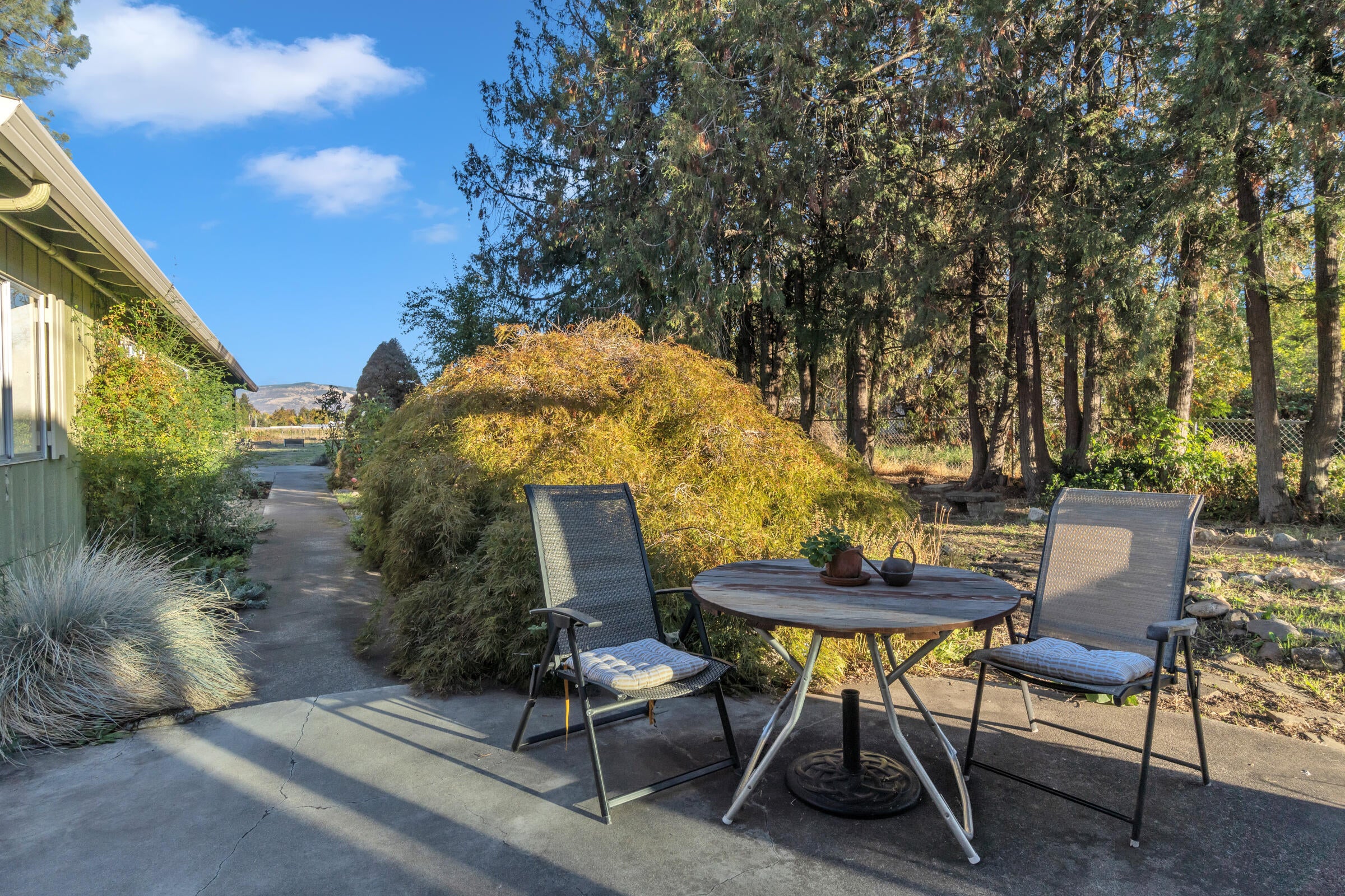 1775 Hull Road Medford, OR 97501 - Photo 24 of 55 Back Patio