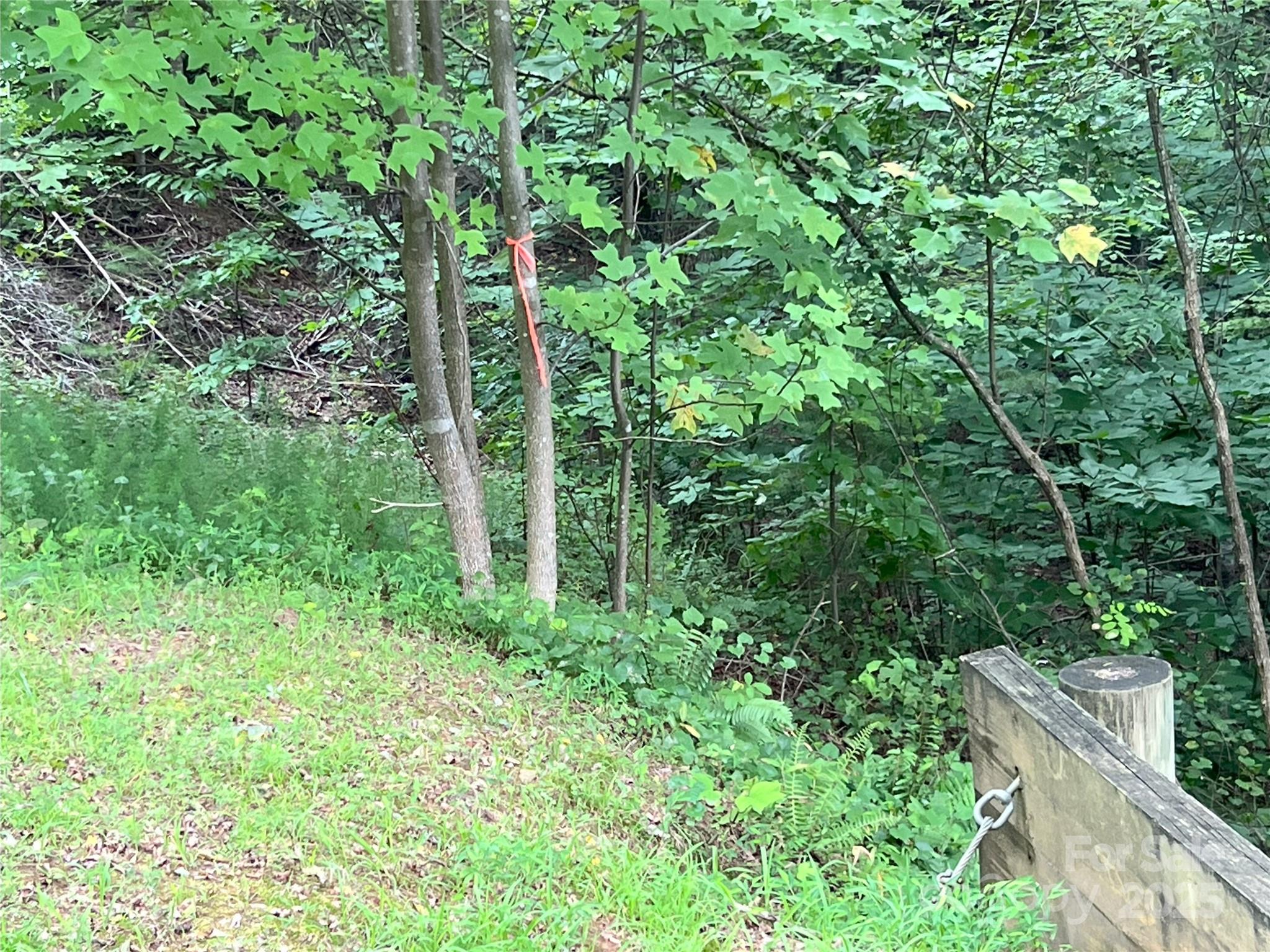 0 Deep Gap Rd Mill Spring East, Unit 97 Mill Spring, NC 28756 - Photo 6 of 22