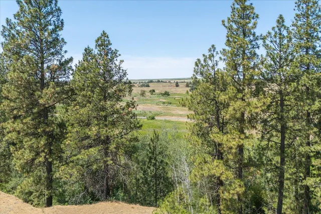 $160,000 | 36000 South Bootstrap Lane, Unit PARCEL 11091 9026, Cheney, WA 99004