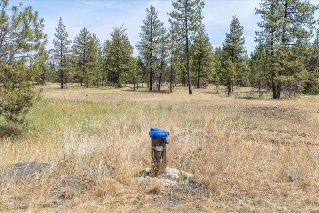 $160,000 | 36000 South Bootstrap Lane, Unit PARCEL 11091 9026, Cheney, WA 99004