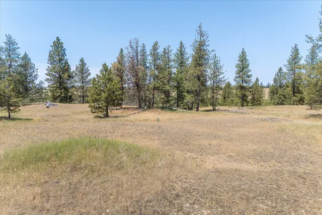 $160,000 | 36000 South Bootstrap Lane, Unit PARCEL 11091 9026, Cheney, WA 99004