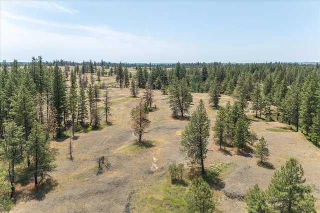 $160,000 | 36000 South Bootstrap Lane, Unit PARCEL 11091 9026, Cheney, WA 99004