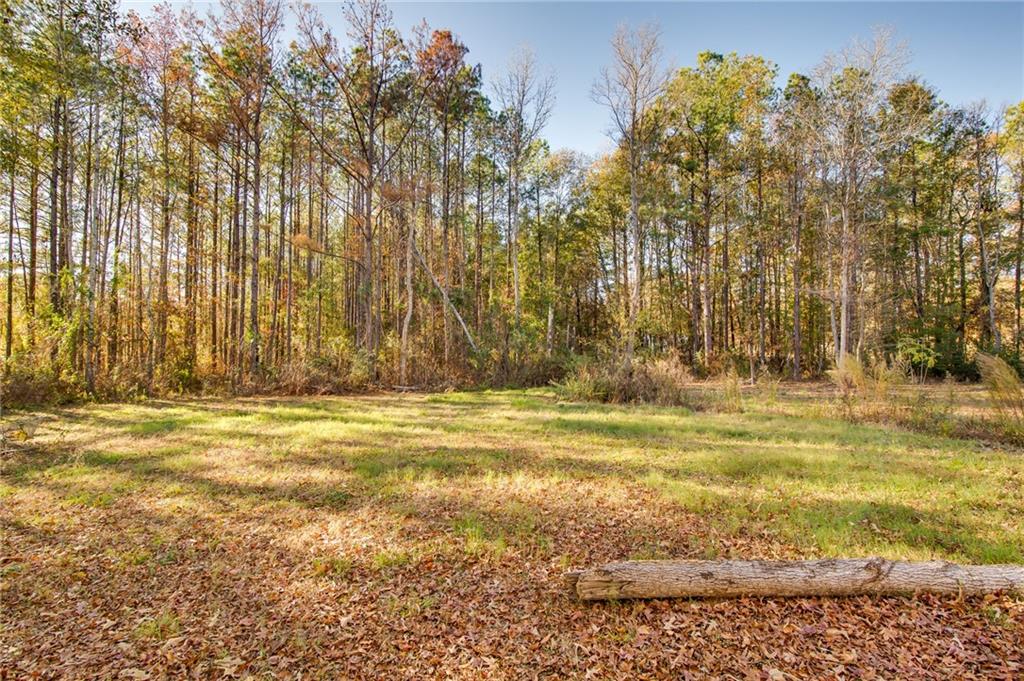 122 Edmunds Road Pollock, LA 71467 - Photo 5 of 7 Gallery Image 5