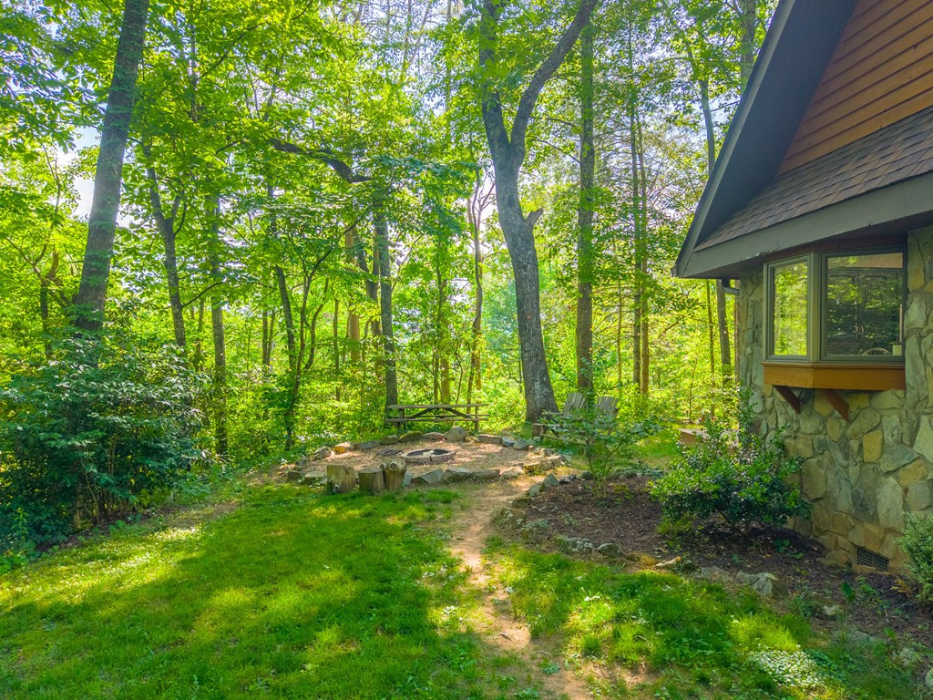 171 High Splendor Drive Robbinsville, NC 28771 - Photo 43 of 62