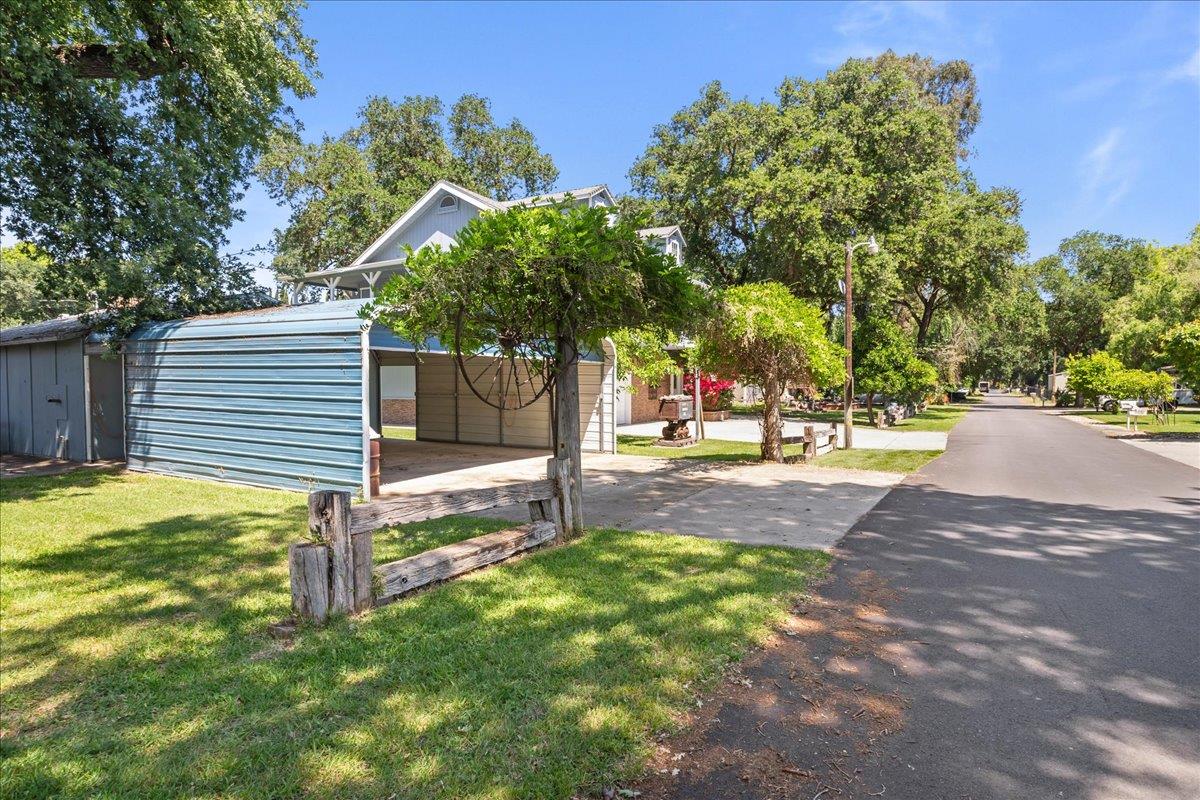 893 Wetherbee Avenue Manteca, CA 95337 - Photo 35 of 39 a view of a yard with plants and a large tree