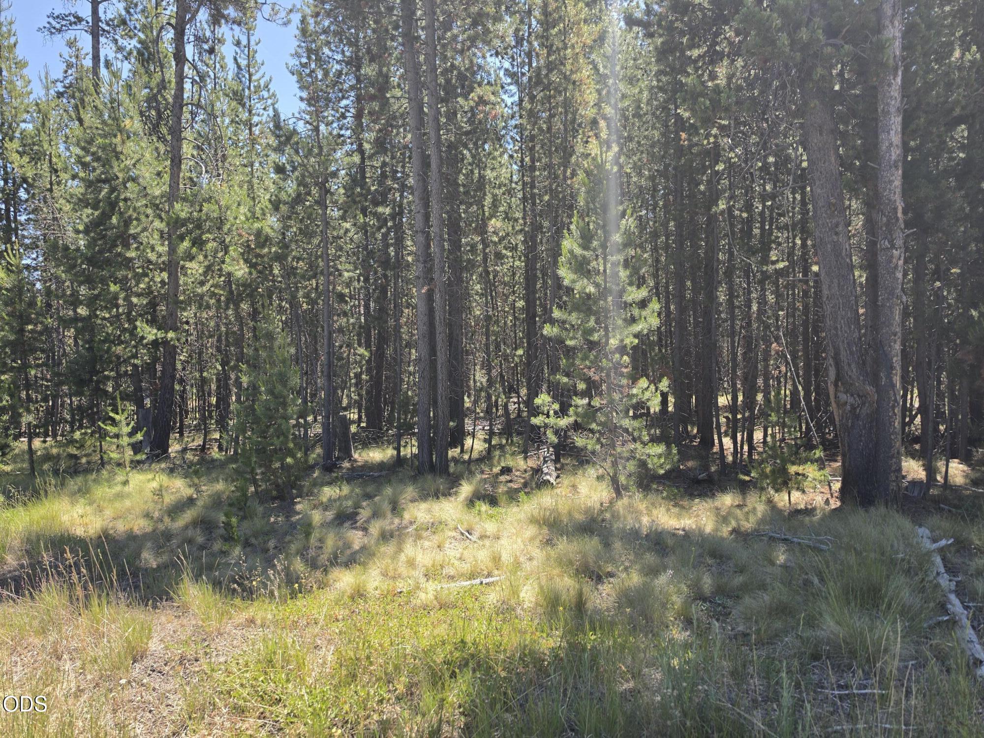 17103 Laguna Road Bend, OR 97707 - Photo 3 of 8
