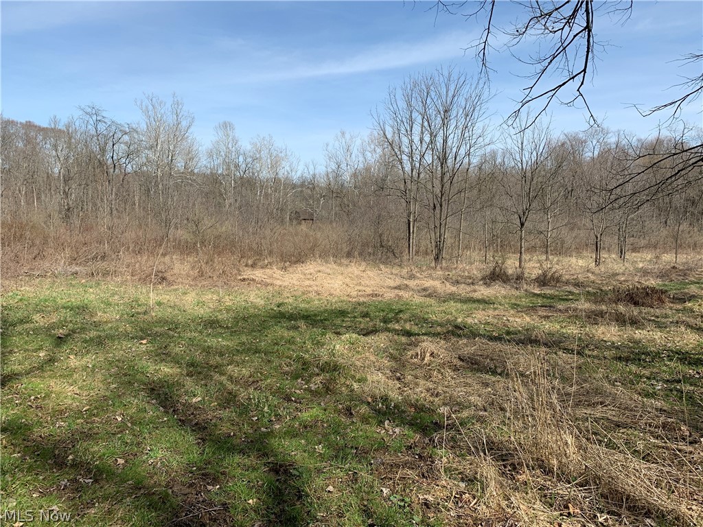 Crawford Road Homerville, OH 44235 - Photo 8 of 35 Gallery Image 8