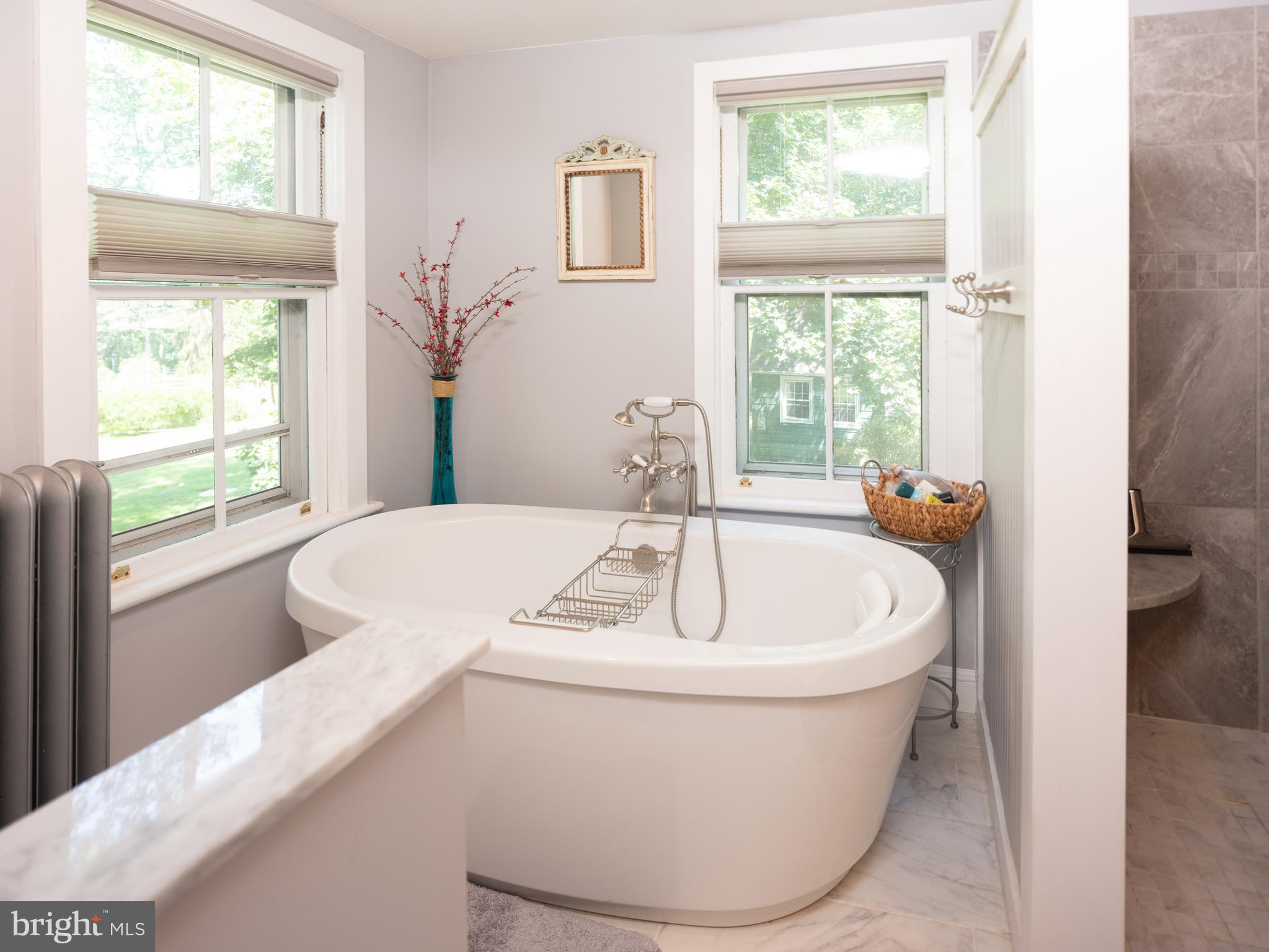 2606 North Sugan Road New Hope, PA 18938 - Photo 25 of 47 Soaking Tub