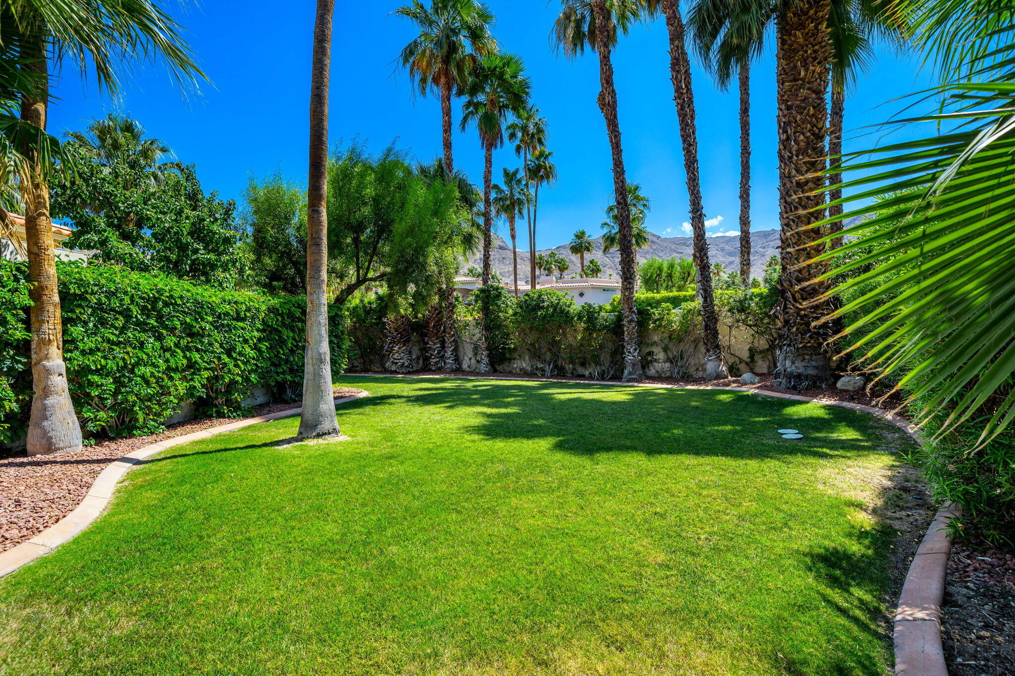 5 Terrace Place Rancho Mirage, CA 92270 - Photo 11 of 53 a view of a yard and palm trees