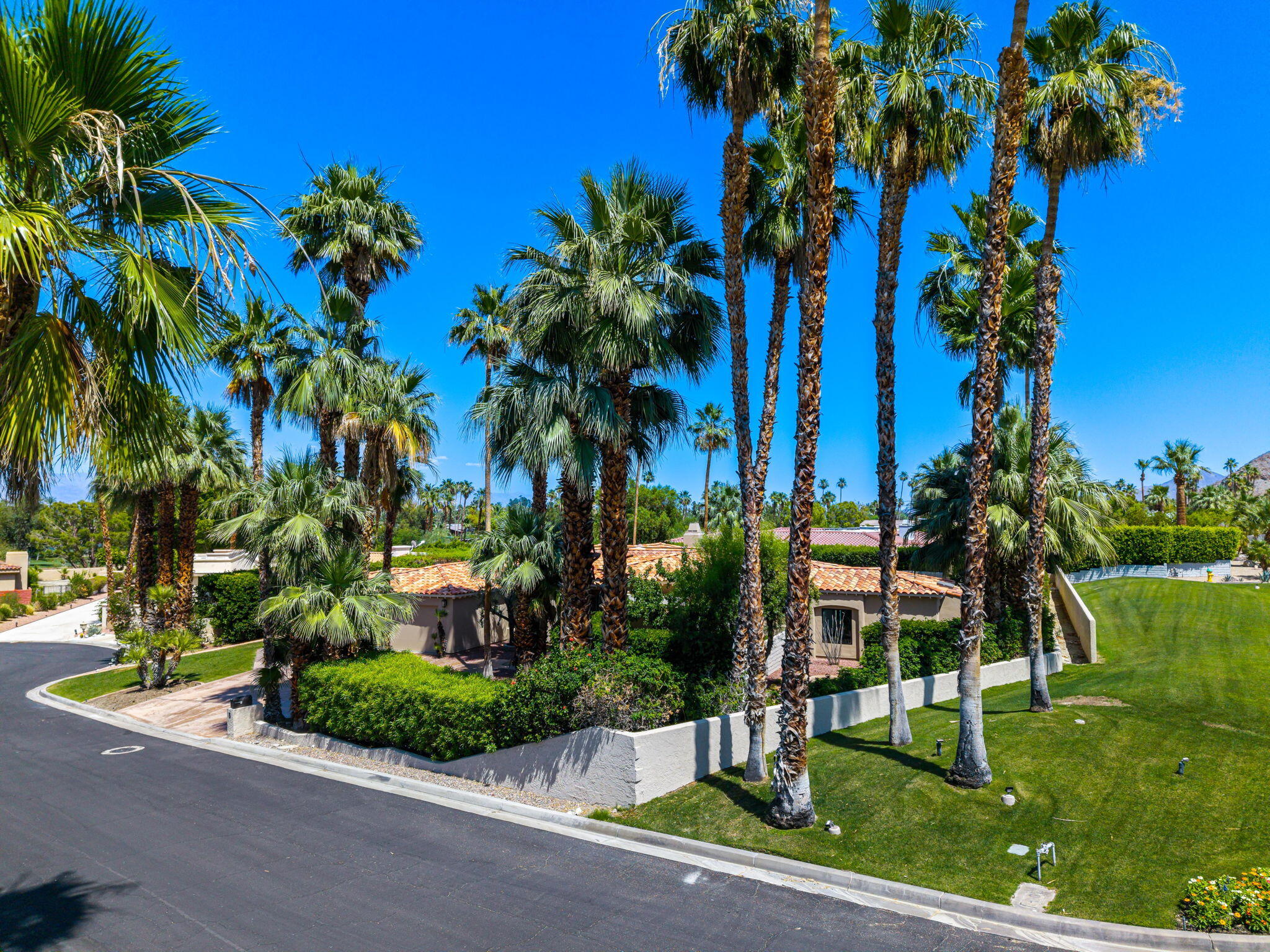 5 Terrace Place Rancho Mirage, CA 92270 - Photo 8 of 53 a view of a park with a palm tree