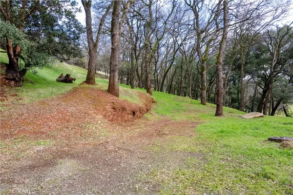 a view of yard with green space