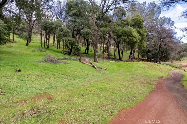 a view of yard with trees